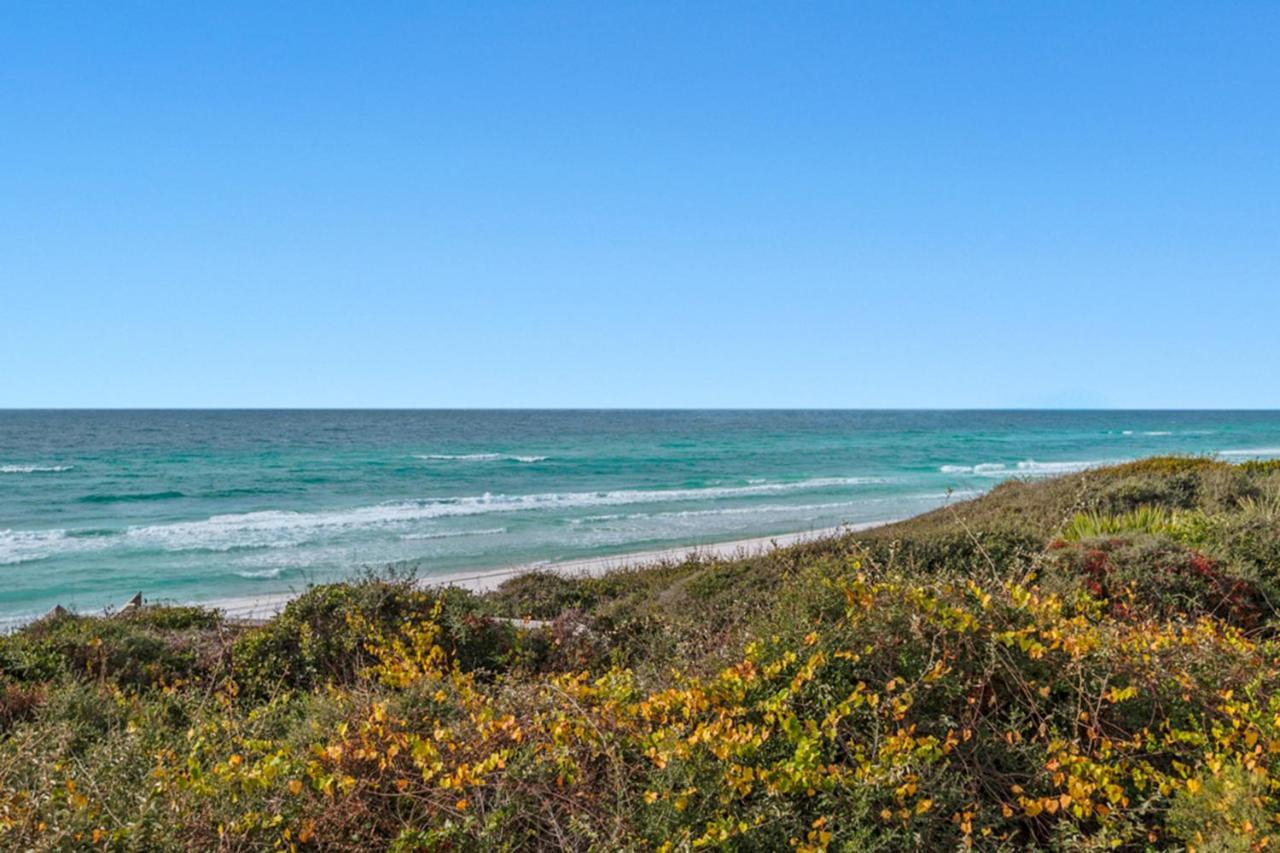 The Palms At Seagrove