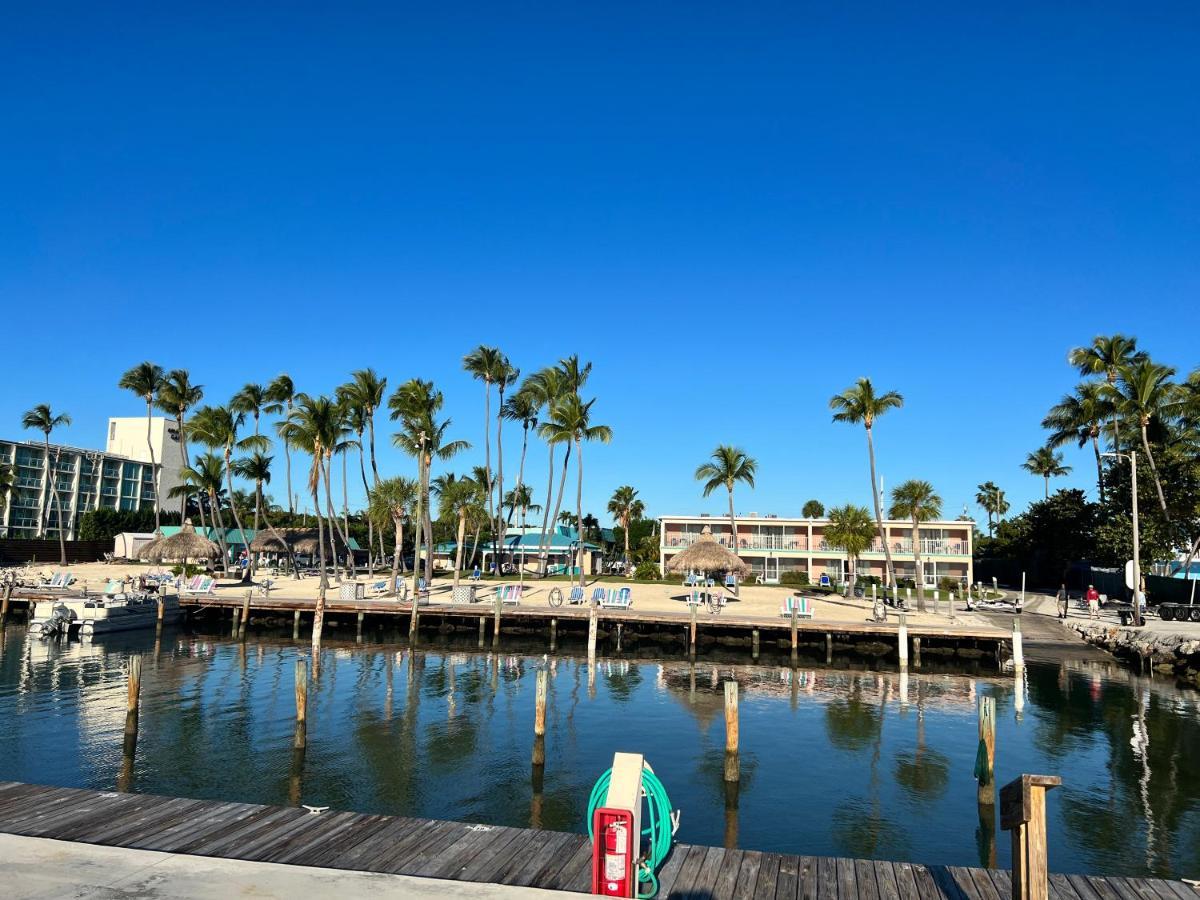 Breezy Palms