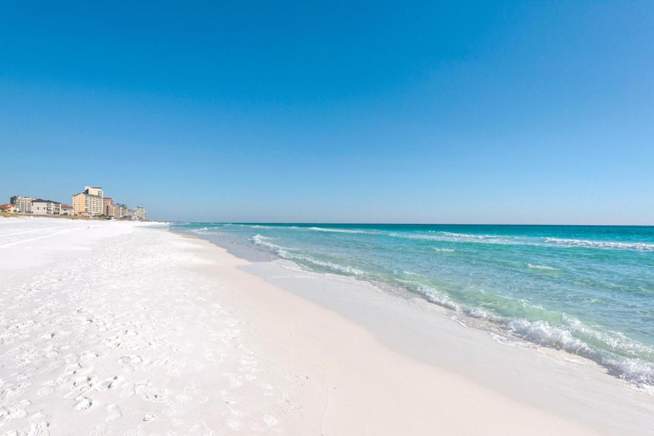 Seas The Day