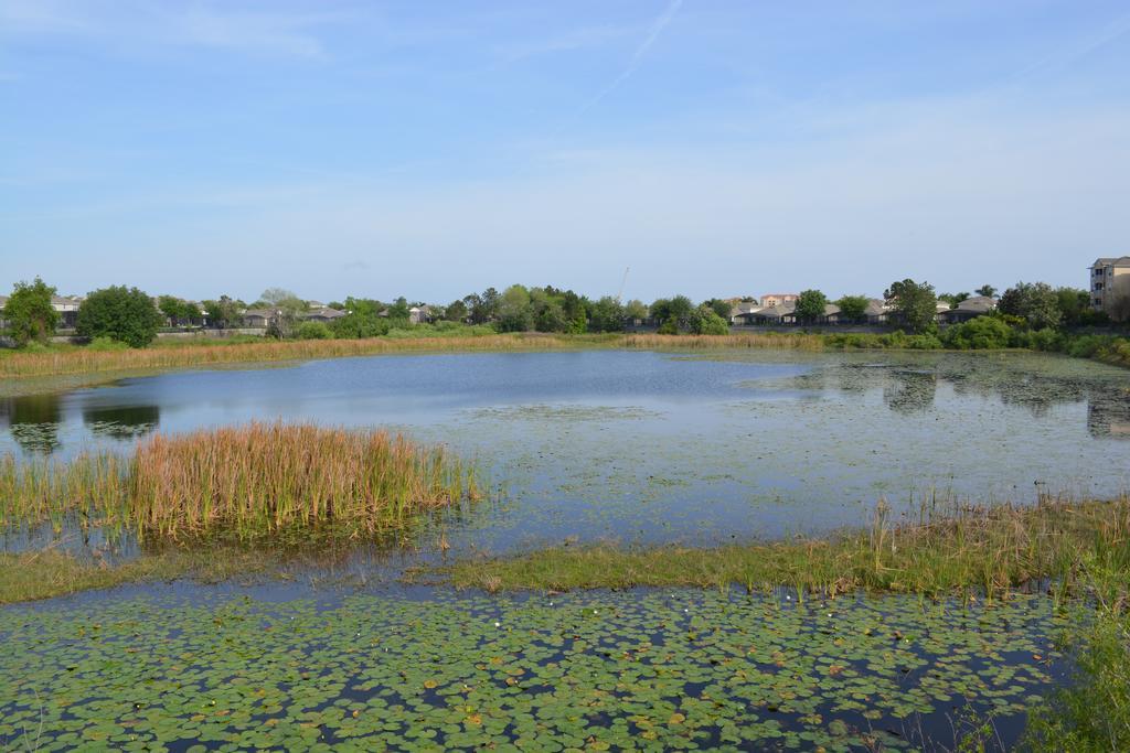 Apartment Ipg Florida - West Kissimmee/davenport
