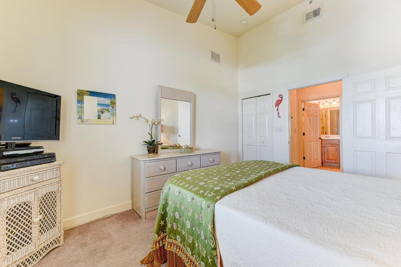 Apartment 862 Cinnamon