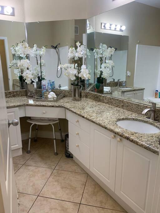Luxury 5 Star Italian 2 Bd 2 Bath Apartment Clearwater