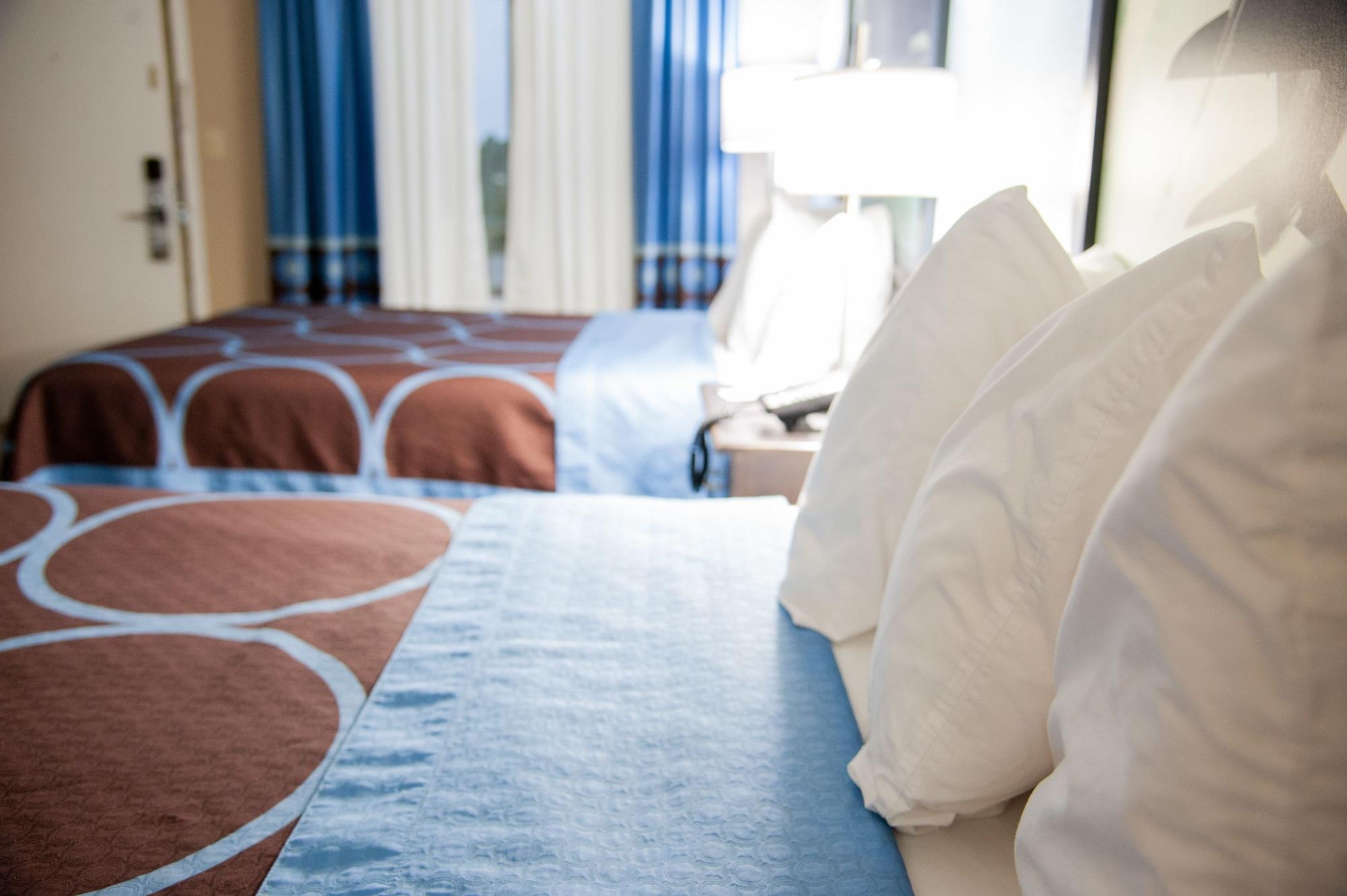 Hotel Opulent Oasis