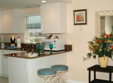 South Oceanfront 3* St. Pete Beach