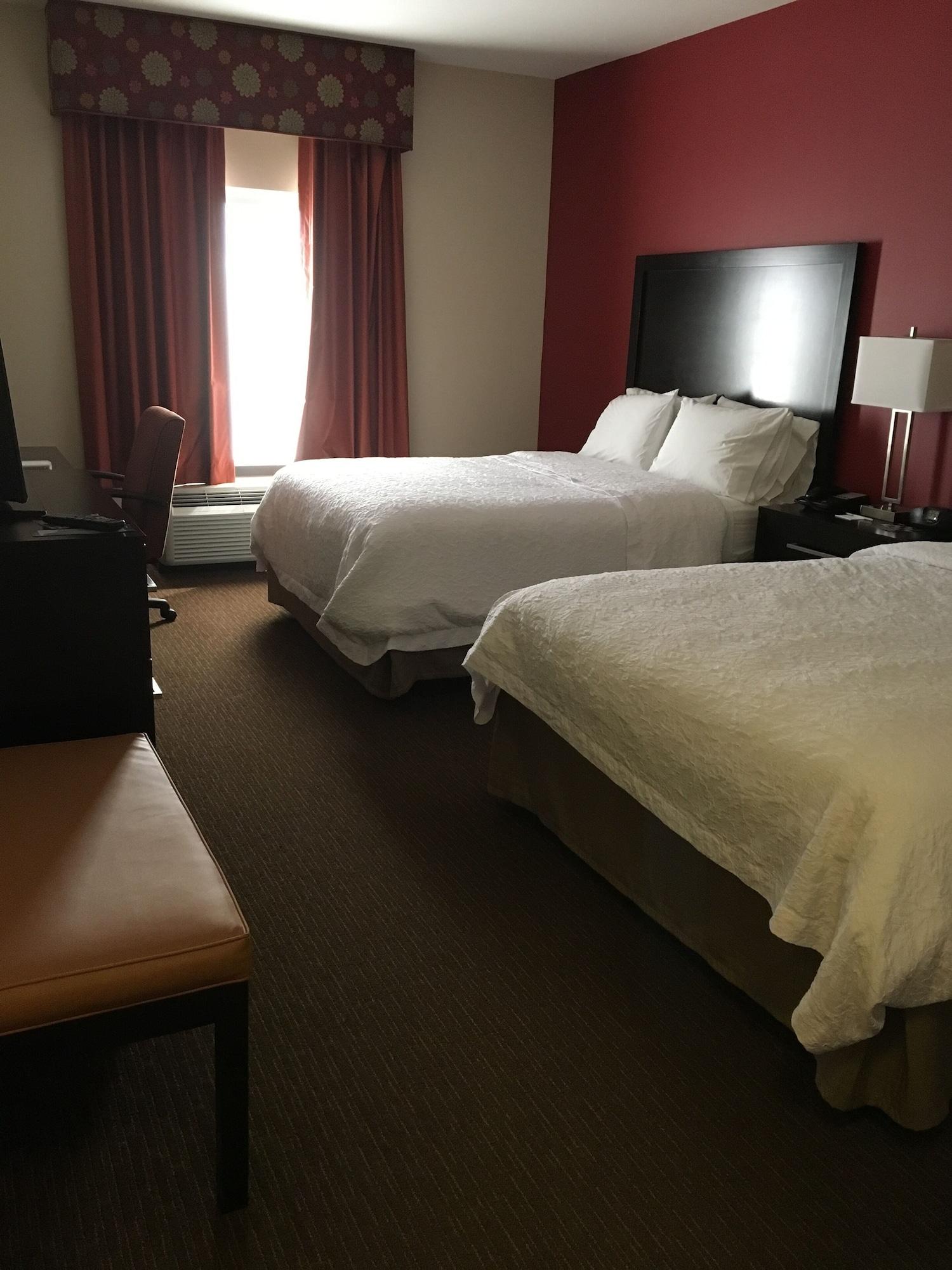 Hotel Hampton & Tampa Northwest/oldsmar Oldsmar