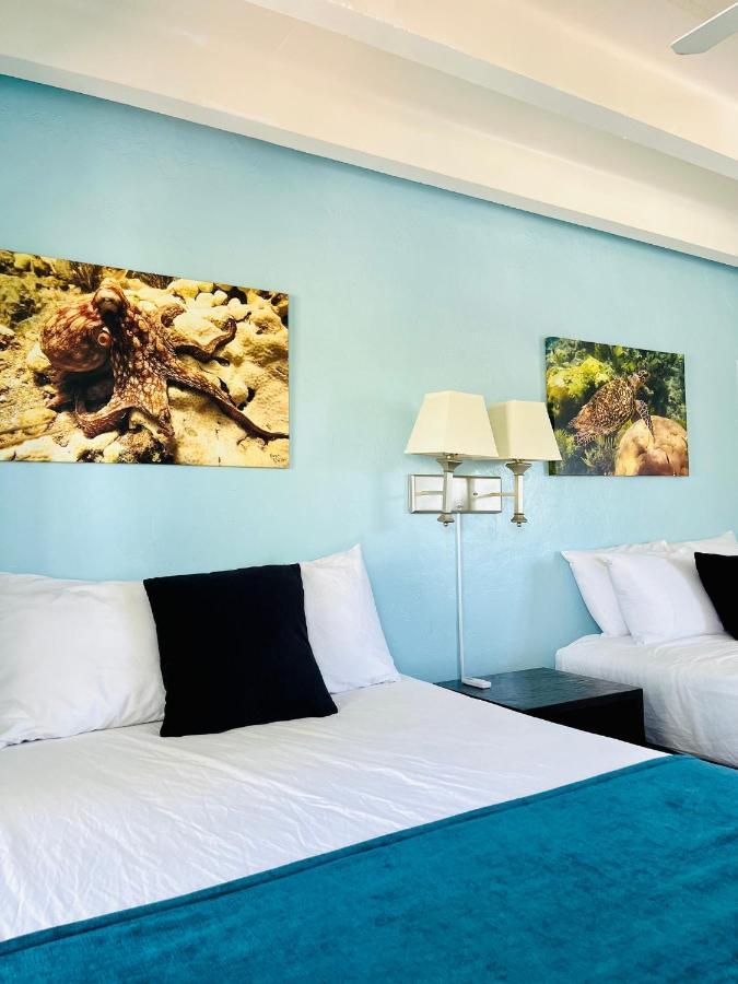 Motel Looe Key Reef And Dive Center