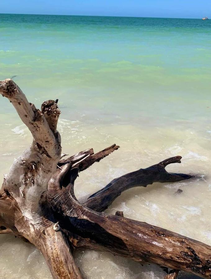 La 2* Fort Myers Beach