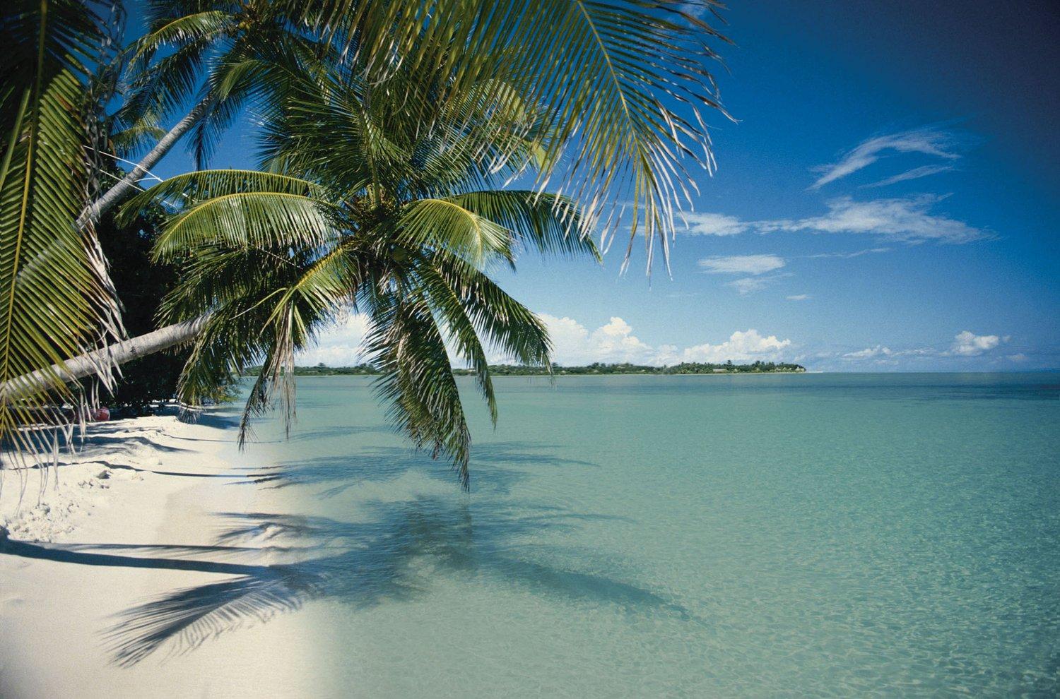 Reefhouse And Marina Resort 3*