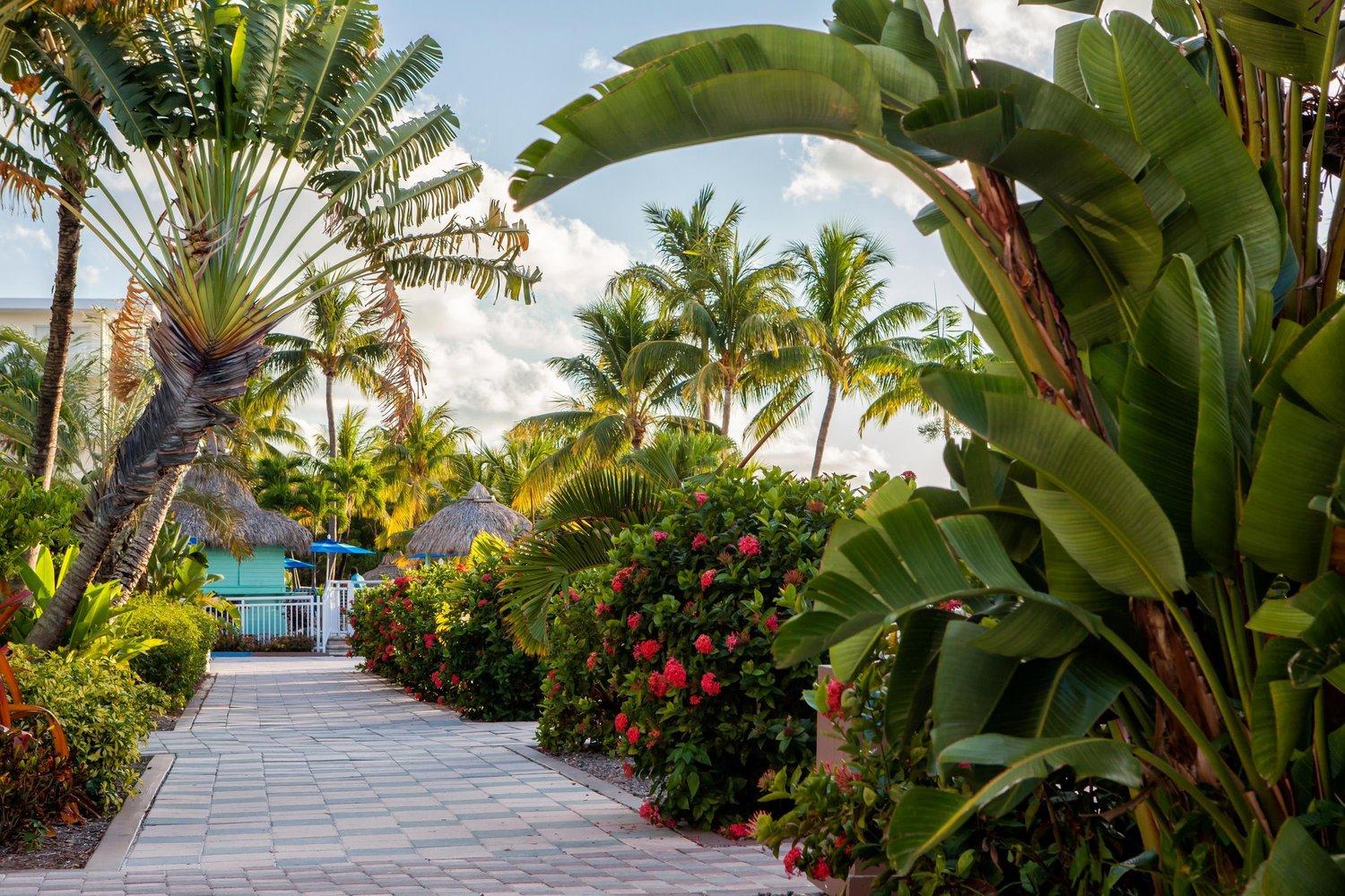 Reefhouse And Marina Resort
