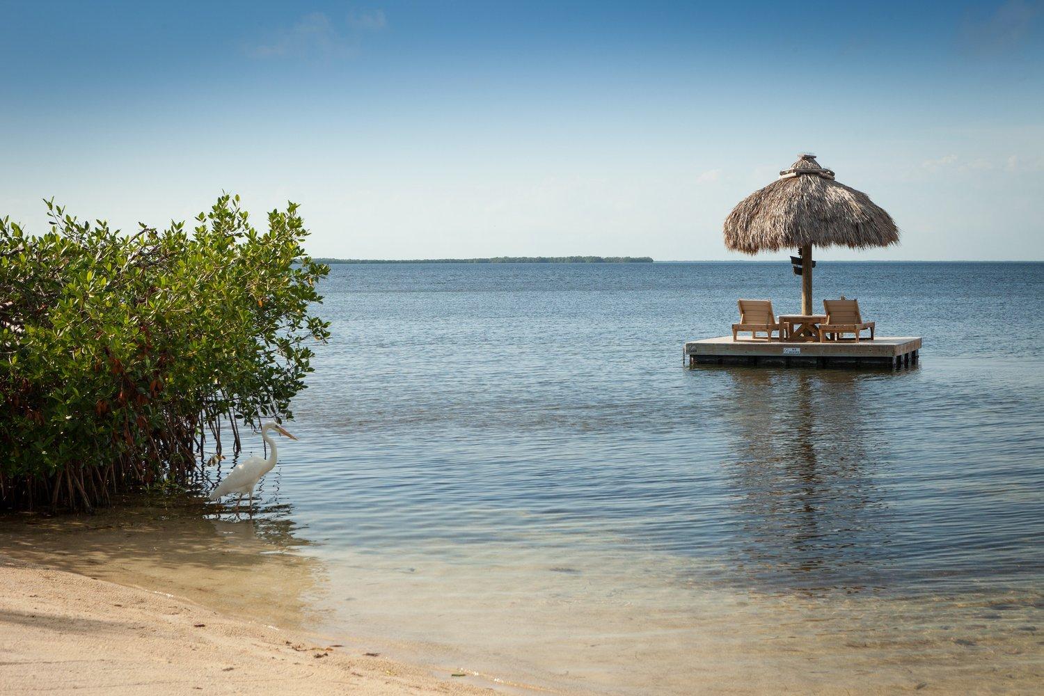 Reefhouse And Marina Resort 3*