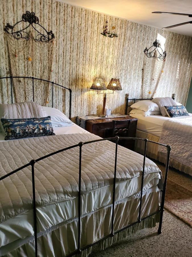 Motel Shamrock Cove Inn Ocala