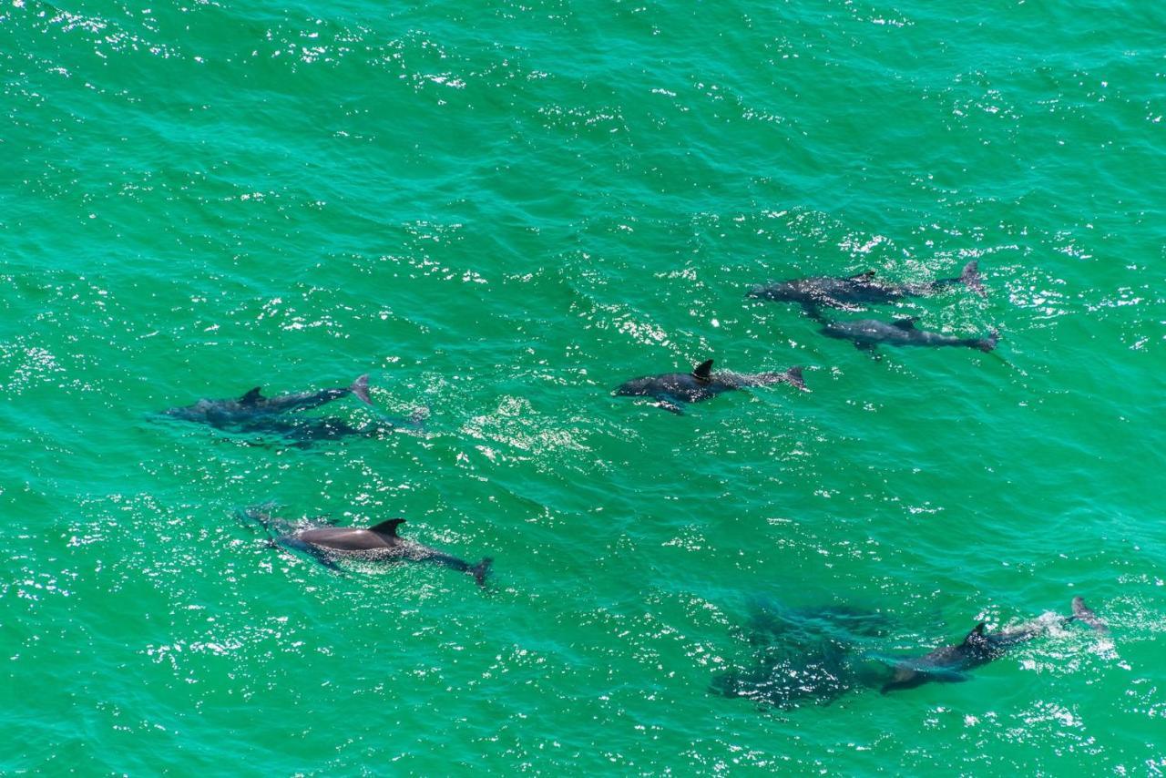 Village Of South Walton 219- Shot Of Paradise