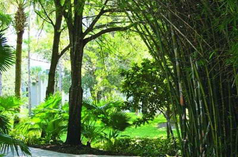 Hotel Marriott's Cypress Harbour