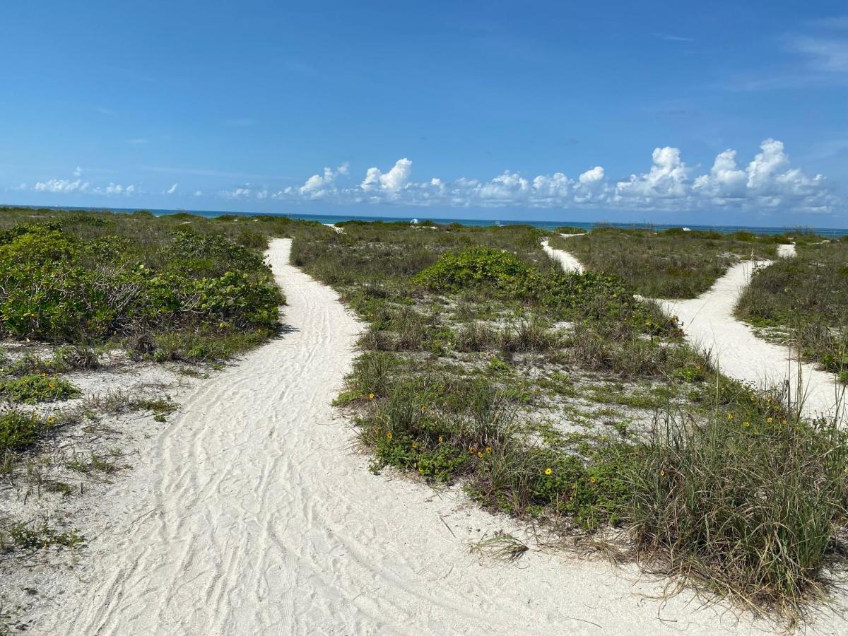 Tropical Winds Beachfront And 3*