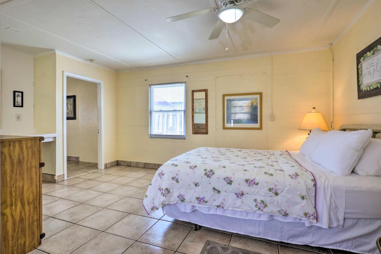 Beachfront In St Augustine - Pet Friendly! *