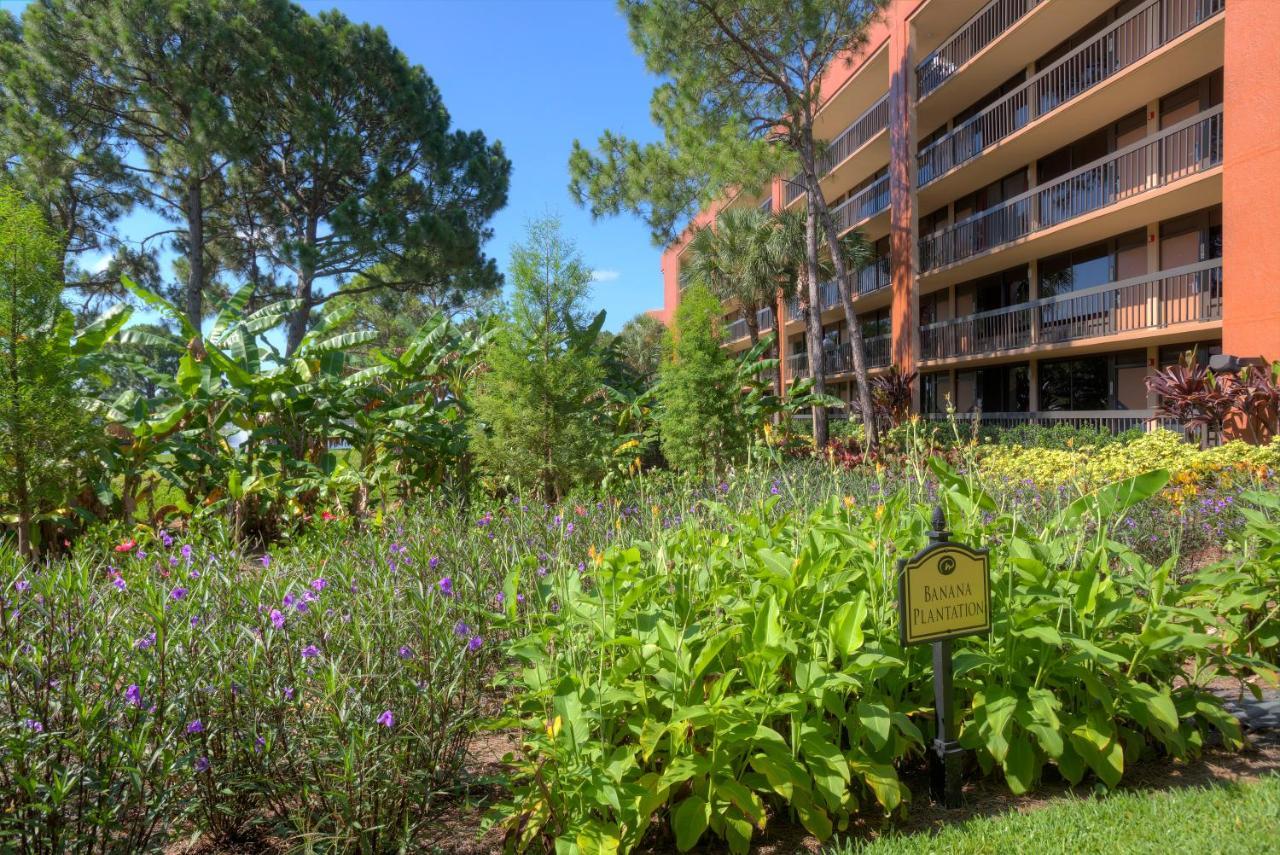 Rosen Buena Vista Hotel 3*