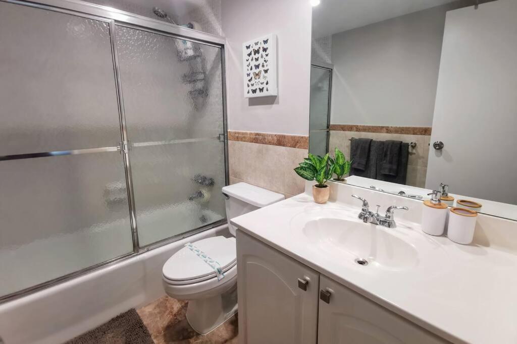 Apartment Luxury Stylish Oceanfront 2 Bedroom 2 Bathroom In Fl Hollywood