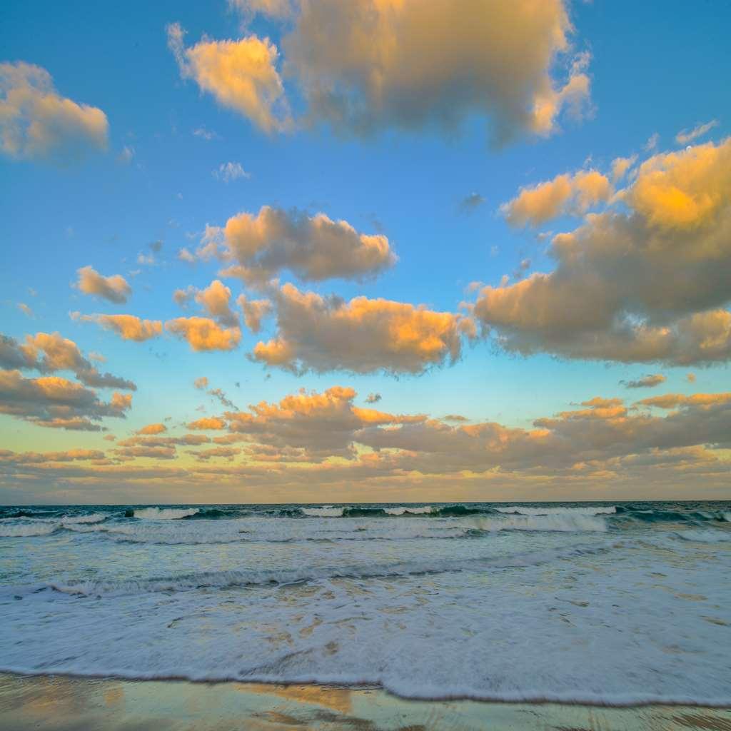 Resort Hilton Vacation Club The Cove On Ormond