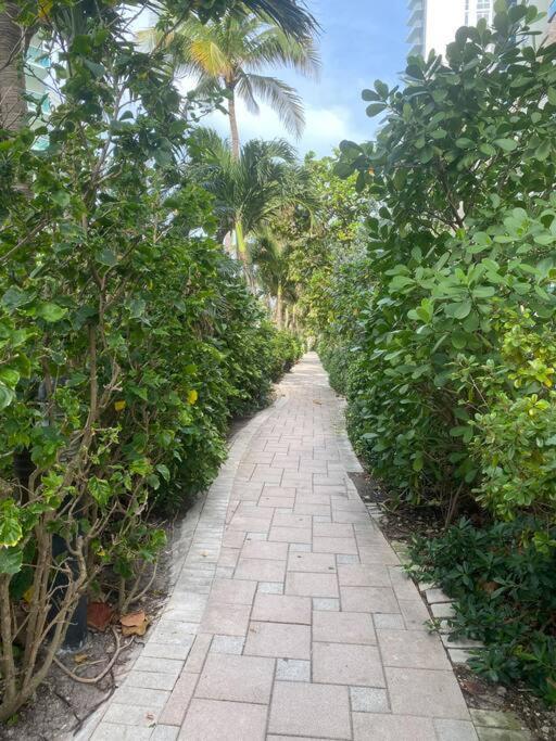 Beachwalk 1b-1b Apmt Amazing View 12a *