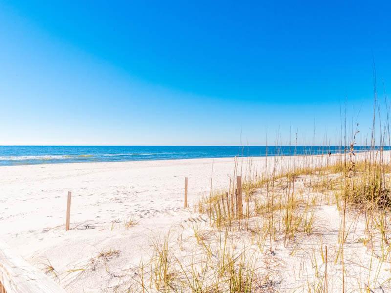 Spinnaker #2a Perdido Key