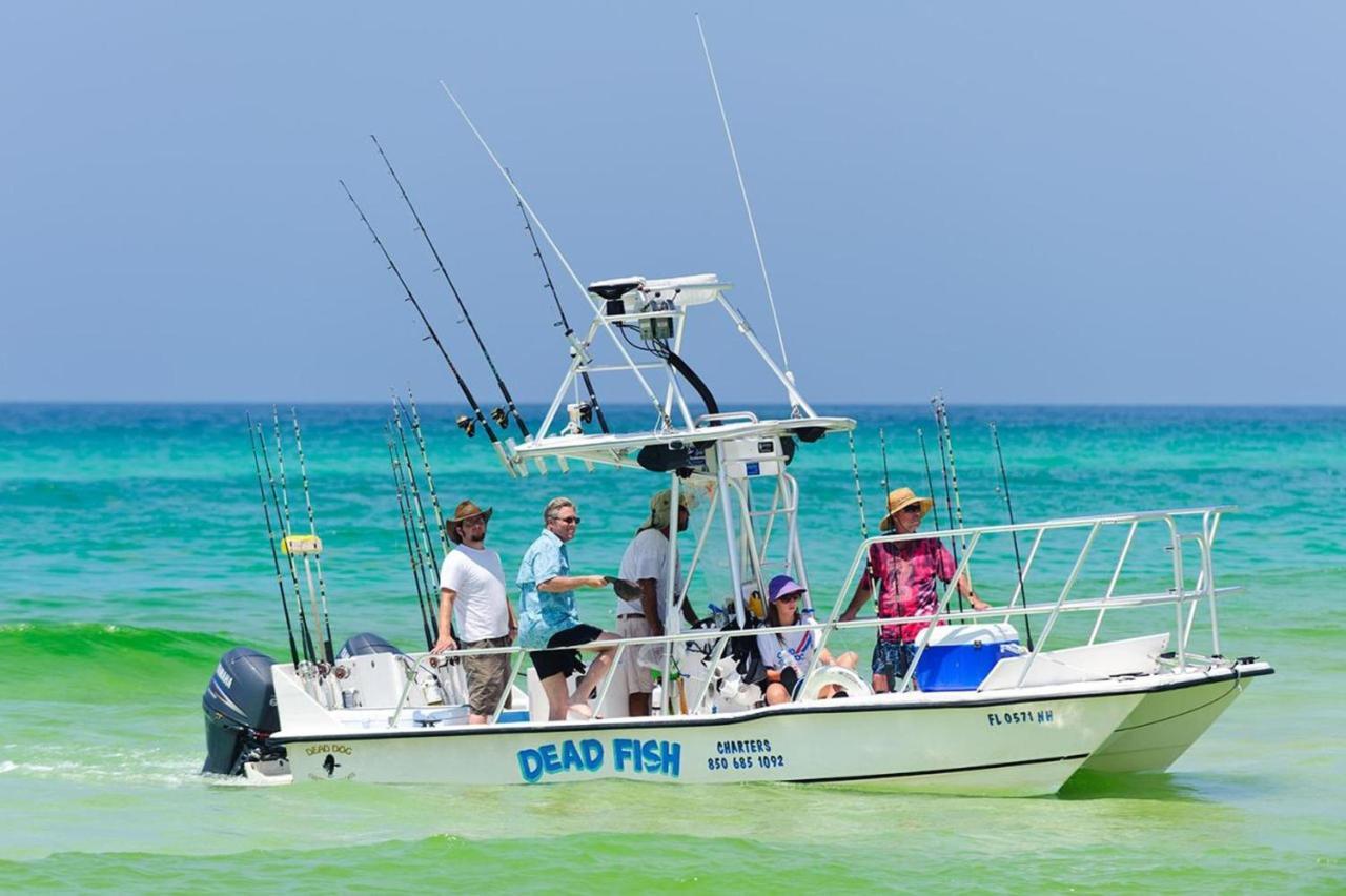 Grayt Paradise Holiday home *