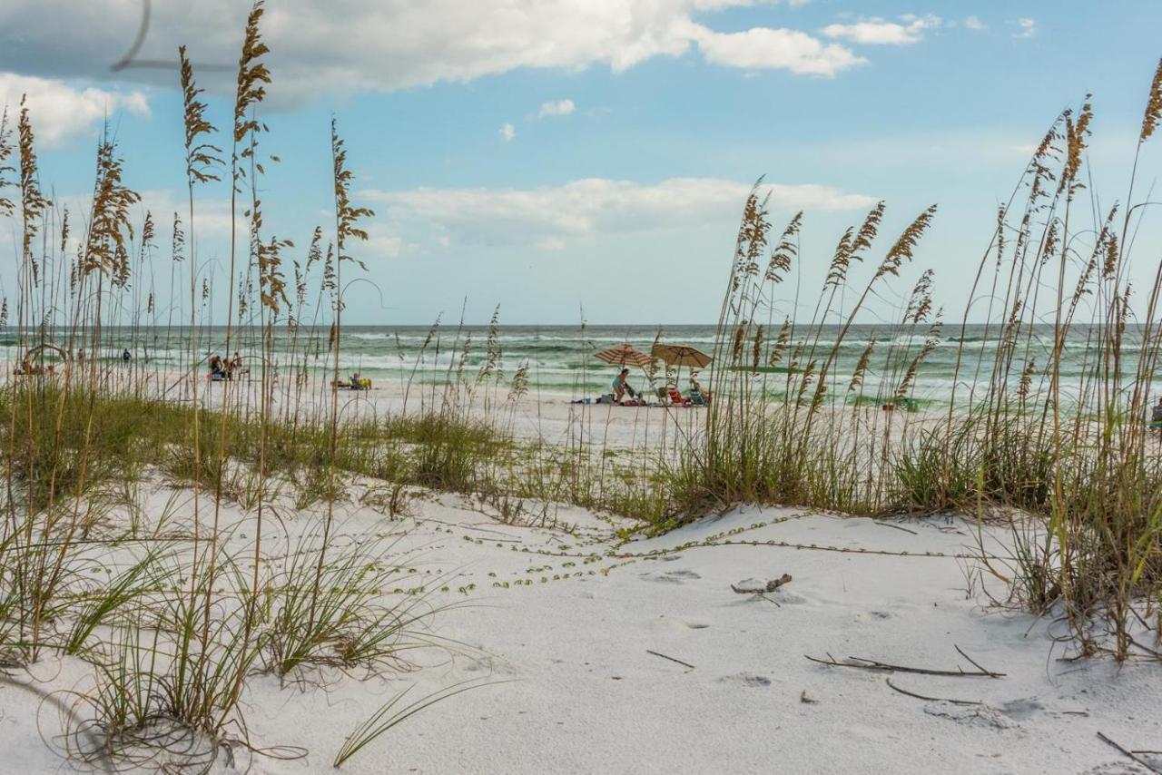 Grayt Paradise Grayton Beach