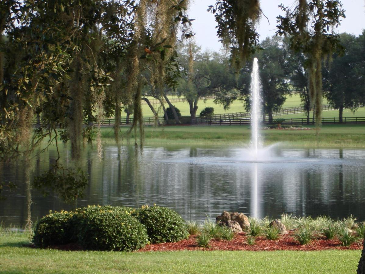 The Grand Oaks