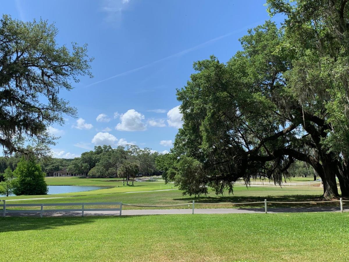 The Grand Oaks
