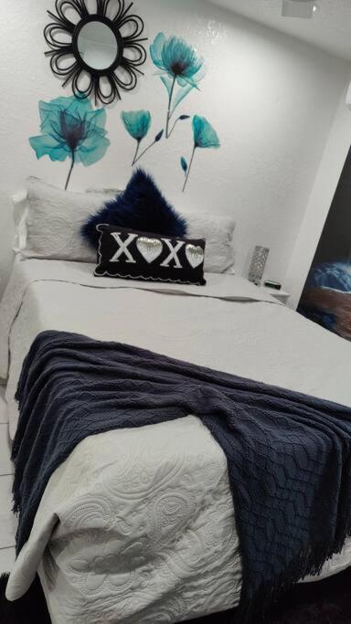 Apartment The Stones. Las Piedras. Tampa
