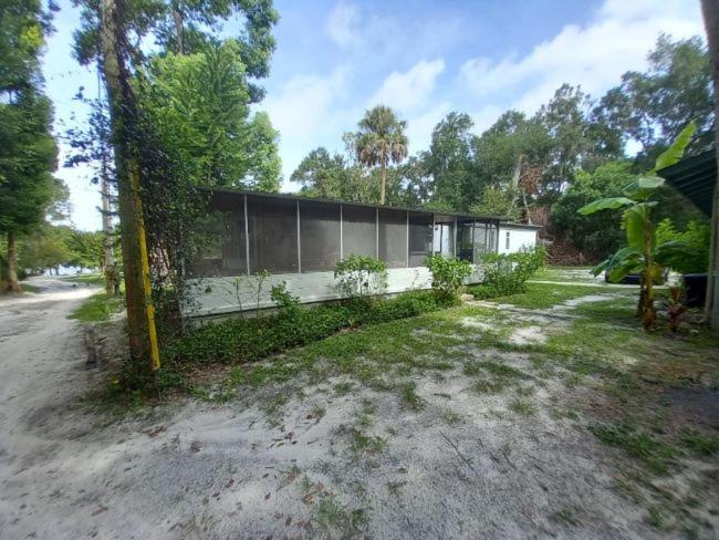 Stegbone's Fish Camp And Satsuma