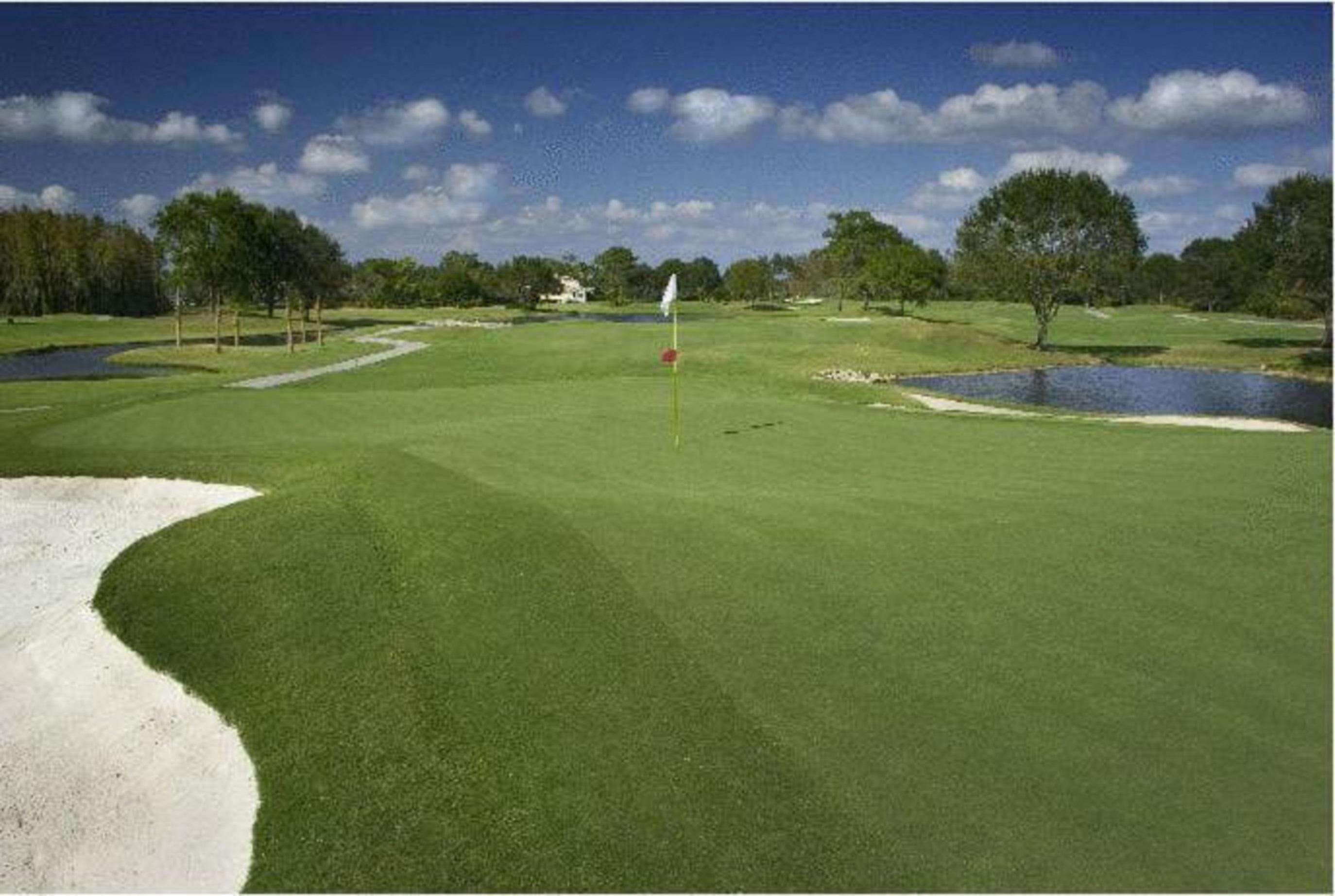 Saddlebrook Golf & Tampa North-wesley Chapel Resort 4*