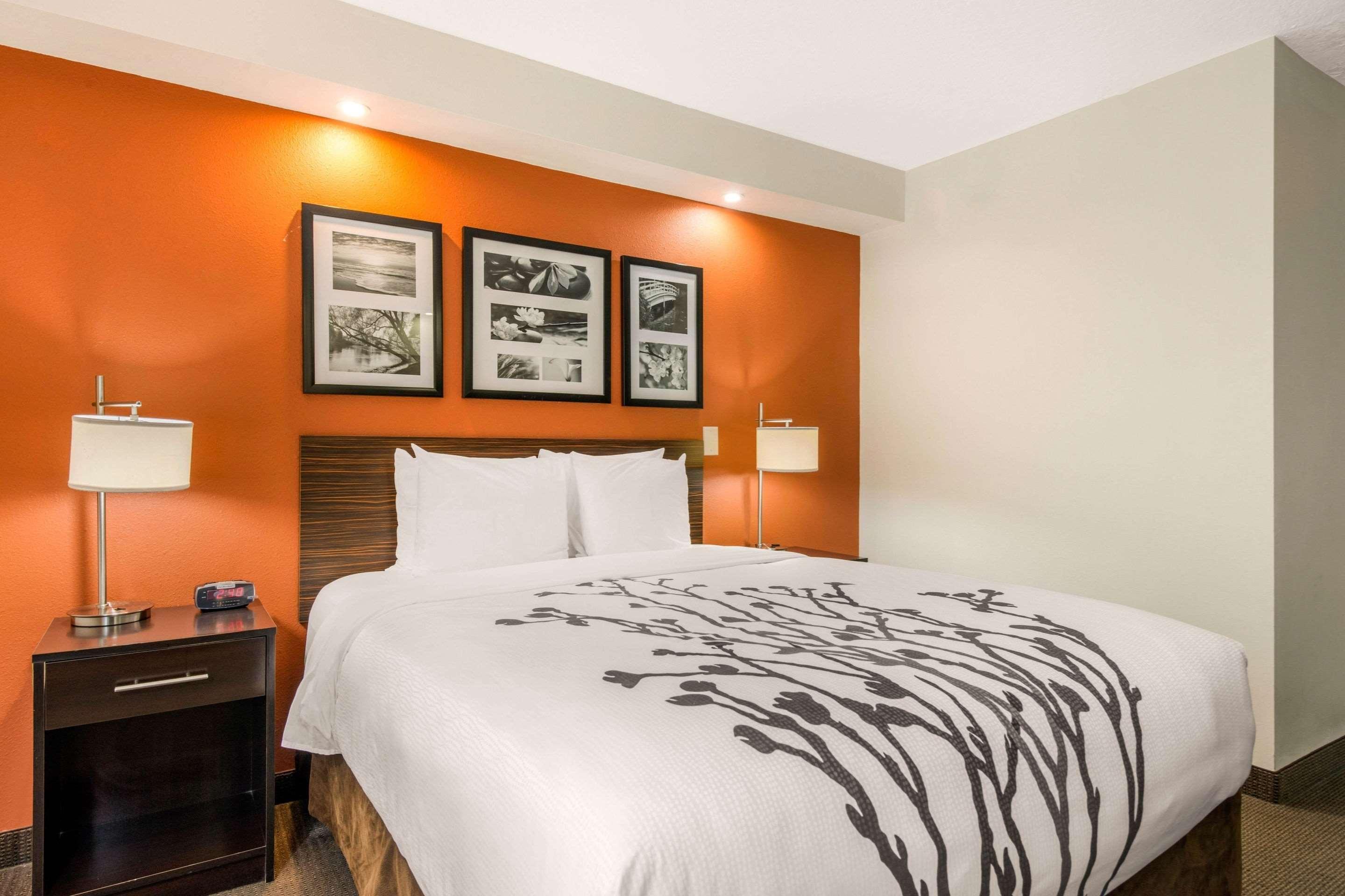 Sleep Clearwater-st Petersburg Inn Clearwater