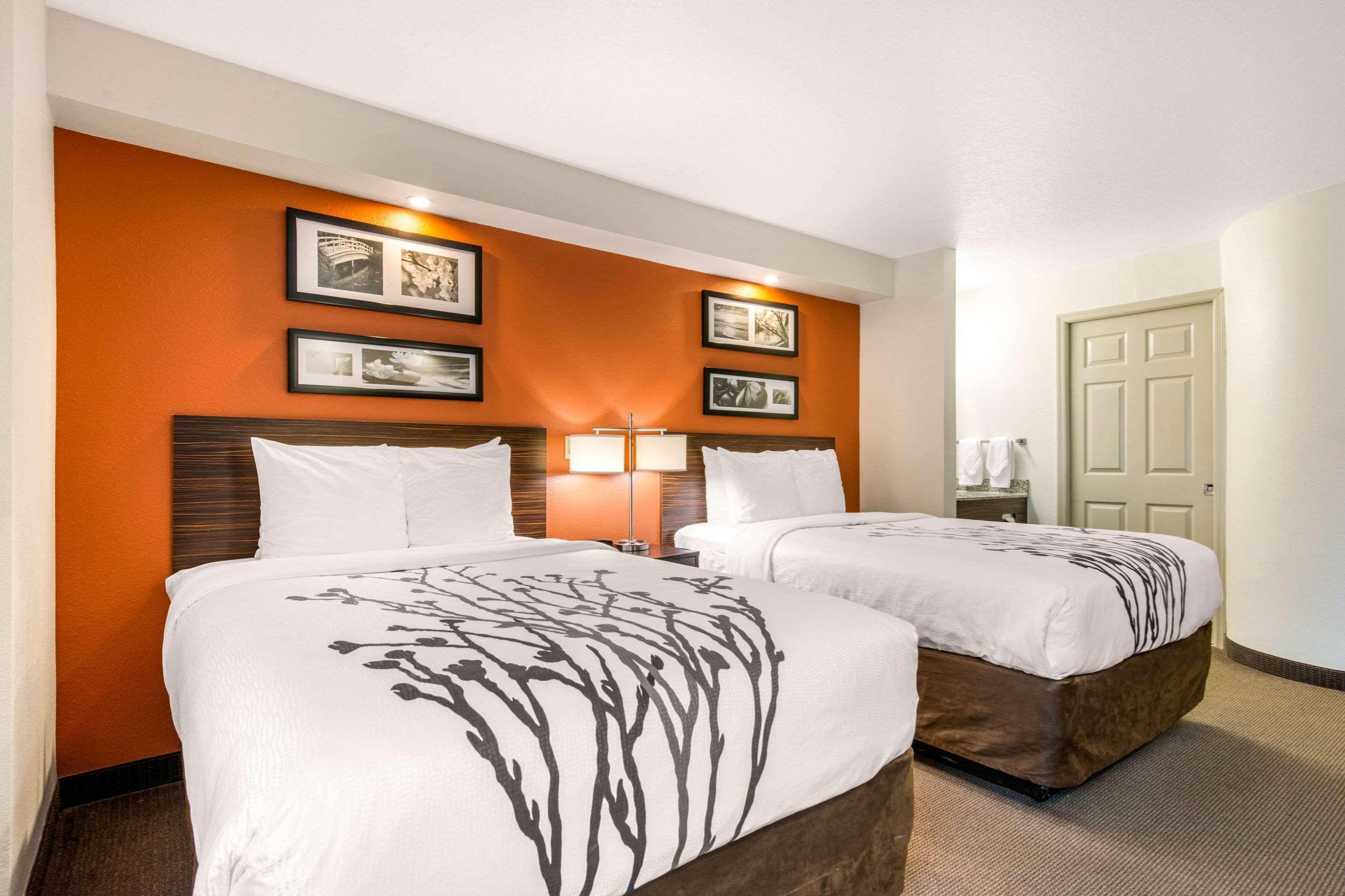 Sleep Clearwater-st Petersburg Inn Clearwater