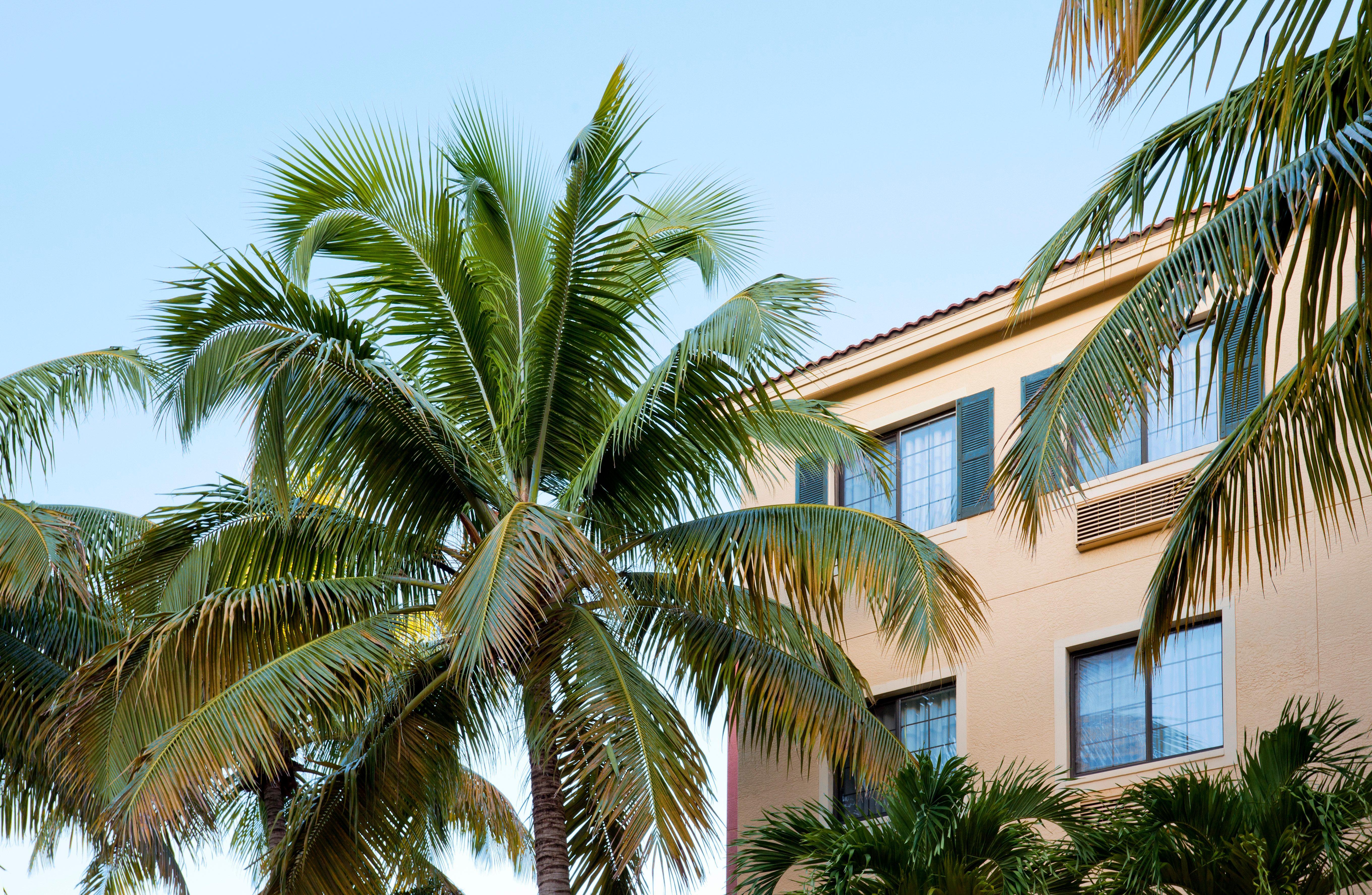Staybridge - Gulf Coast, An Ihg Naples