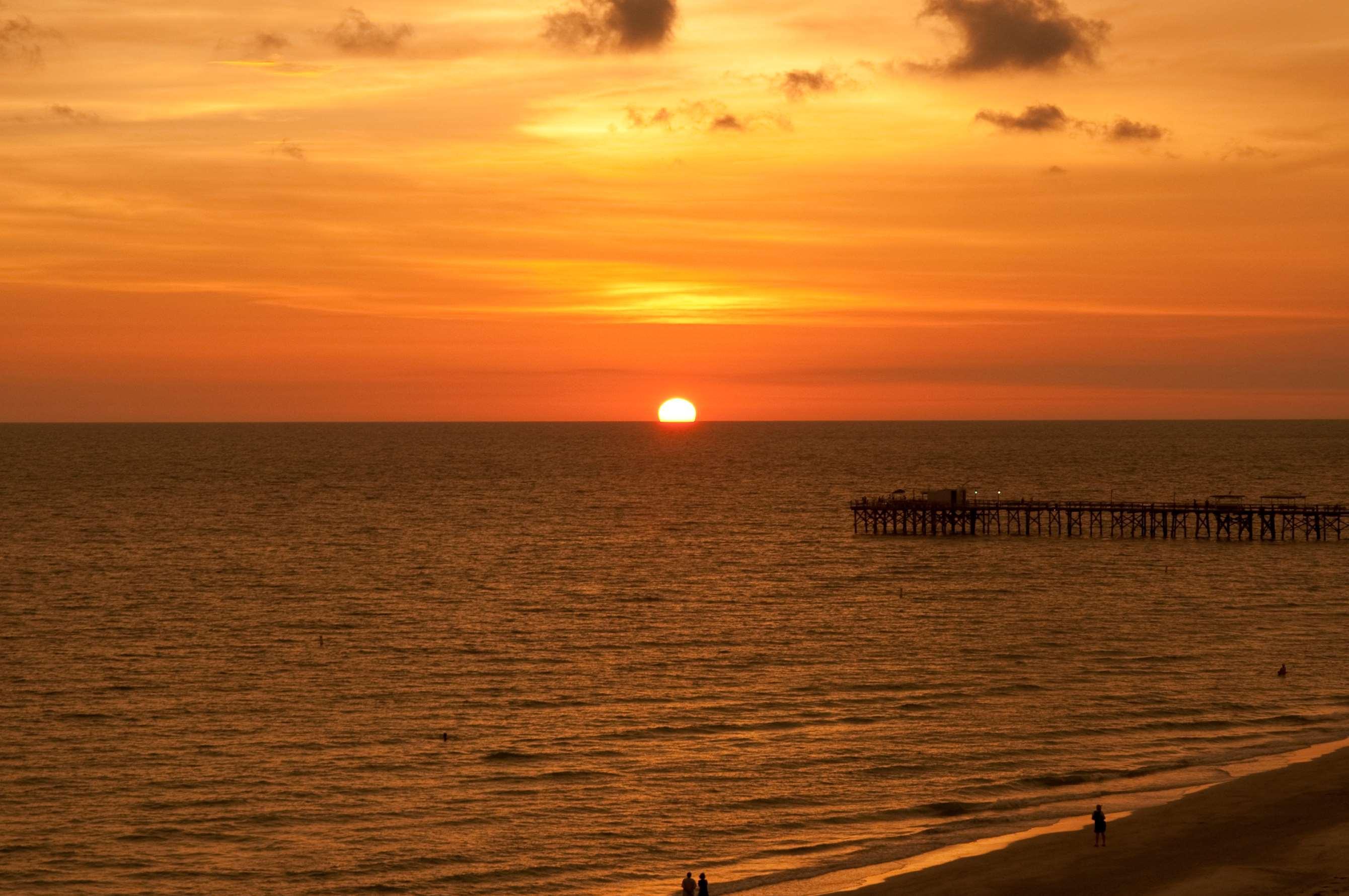 Resort Doubletree By Hilton Tampa Bay - North Redington