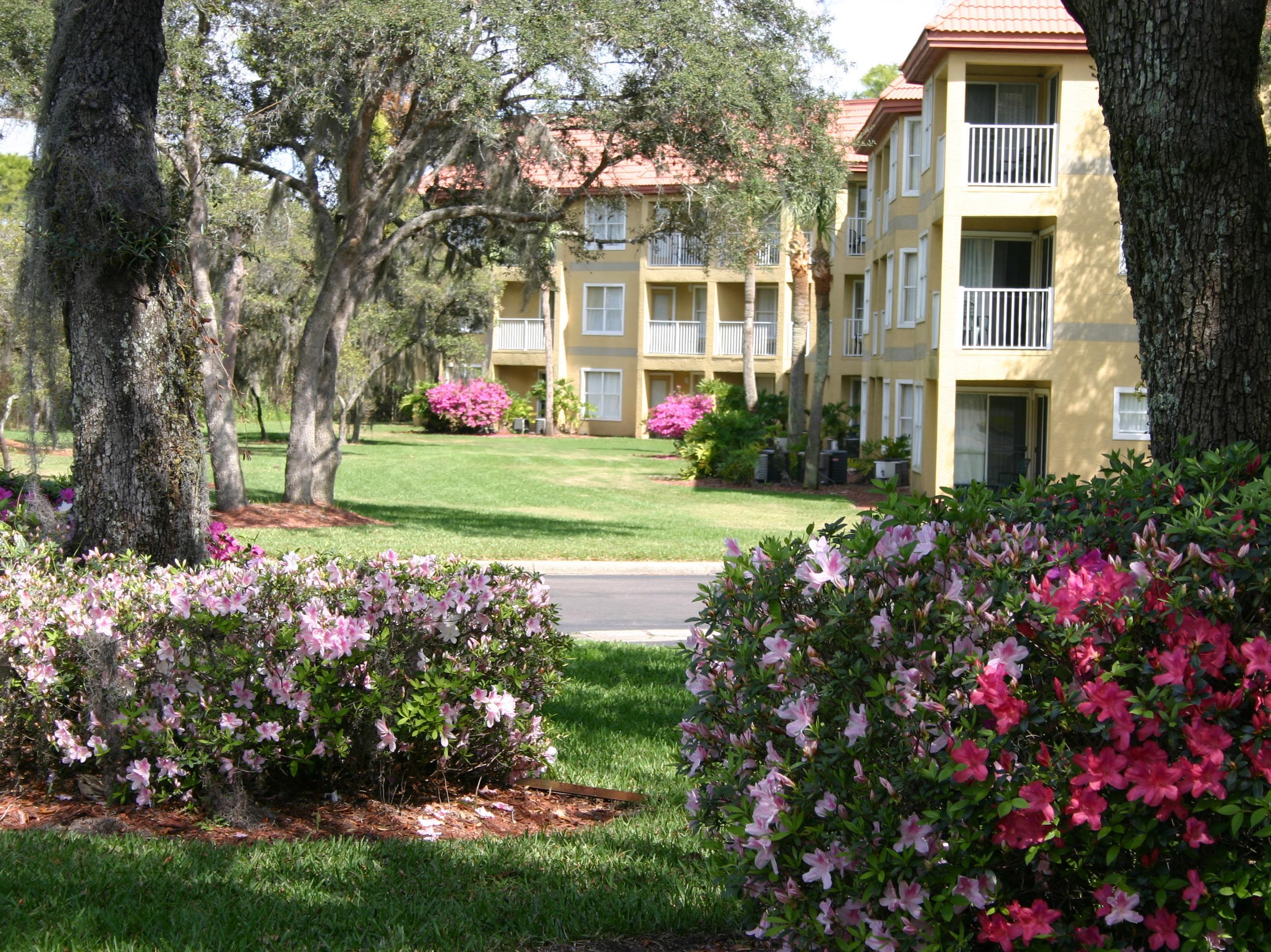 Resort Parc Corniche Williamsburg