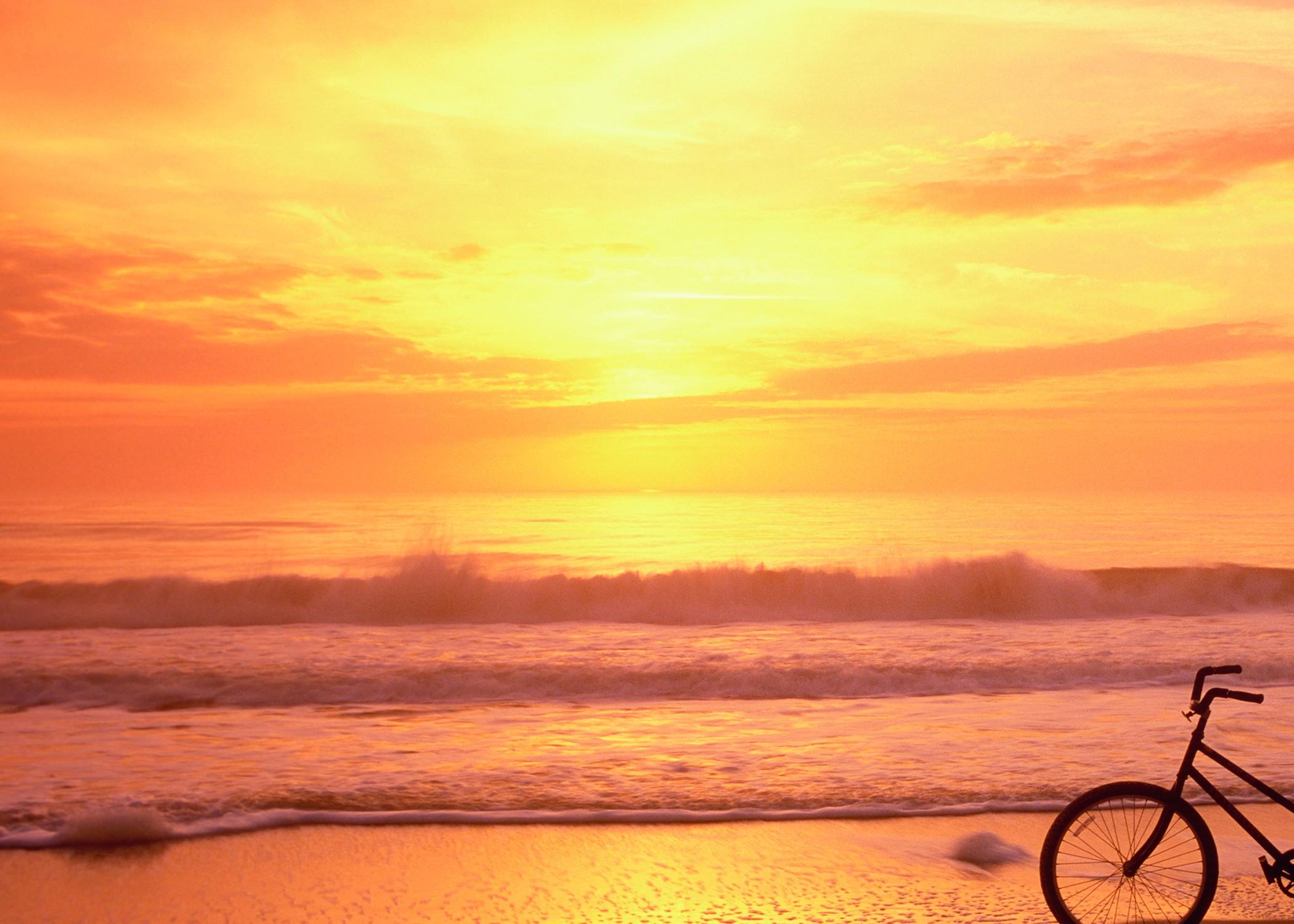 The Ritz-carlton, Amelia Island Resort 5*