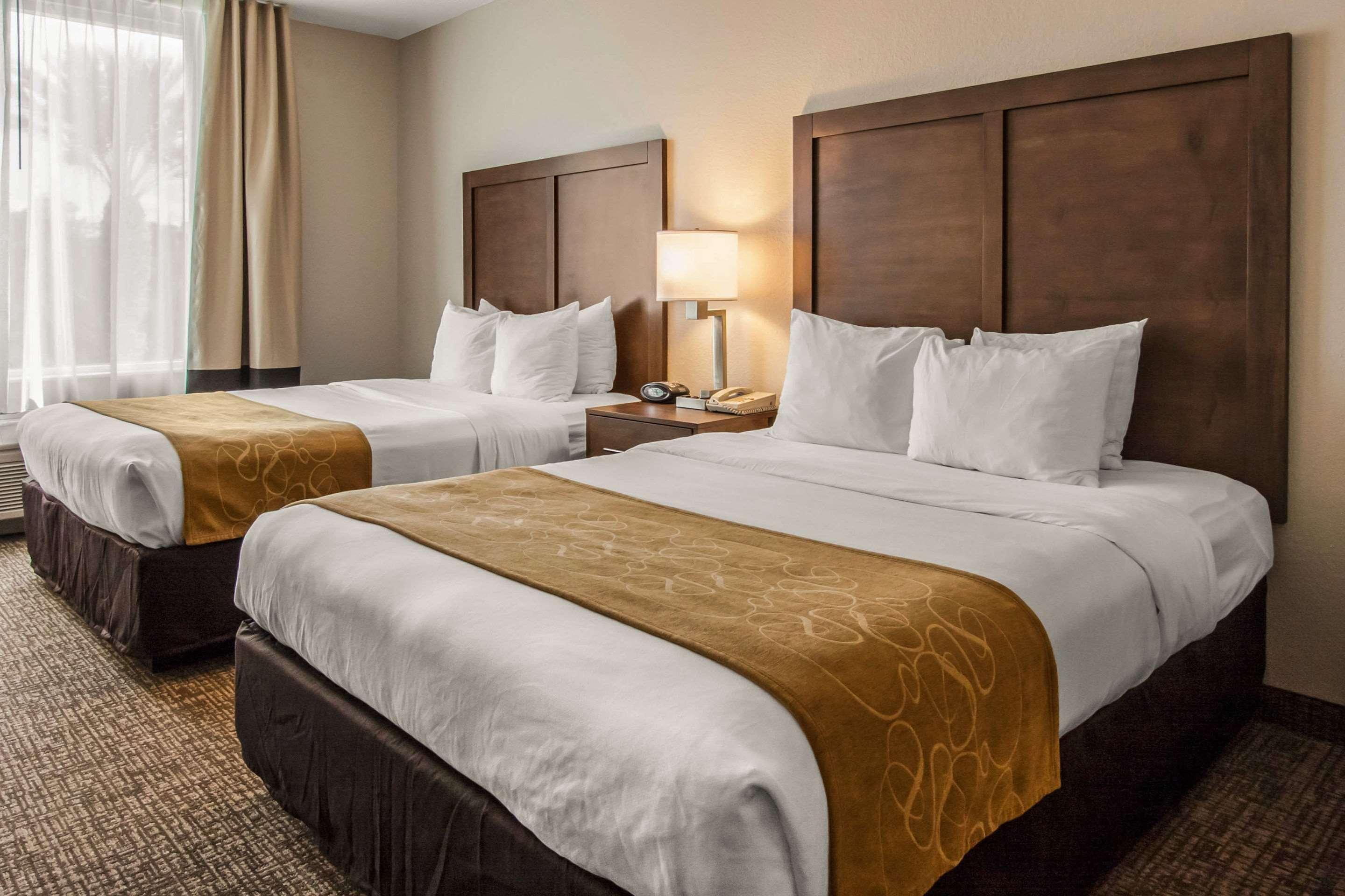 Comfort Maingate East 3* Celebration