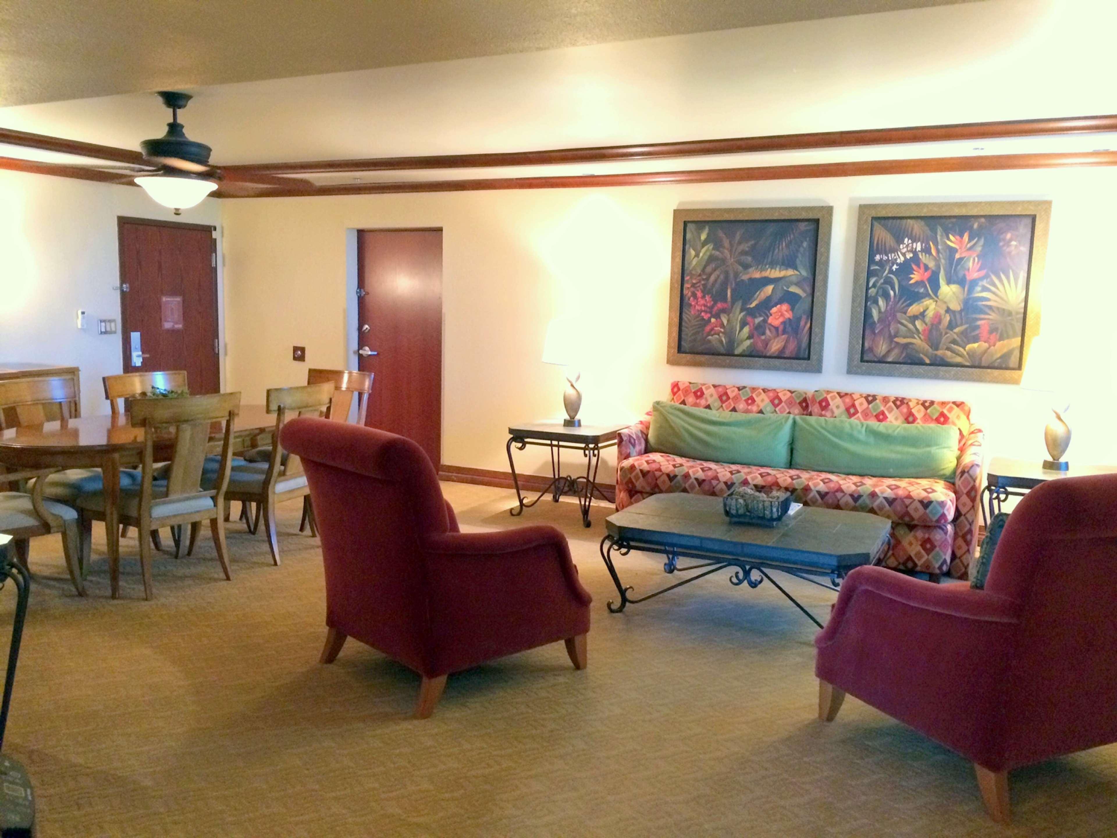 Embassy By Hilton Usf Near Busch Gardens 3* Tampa