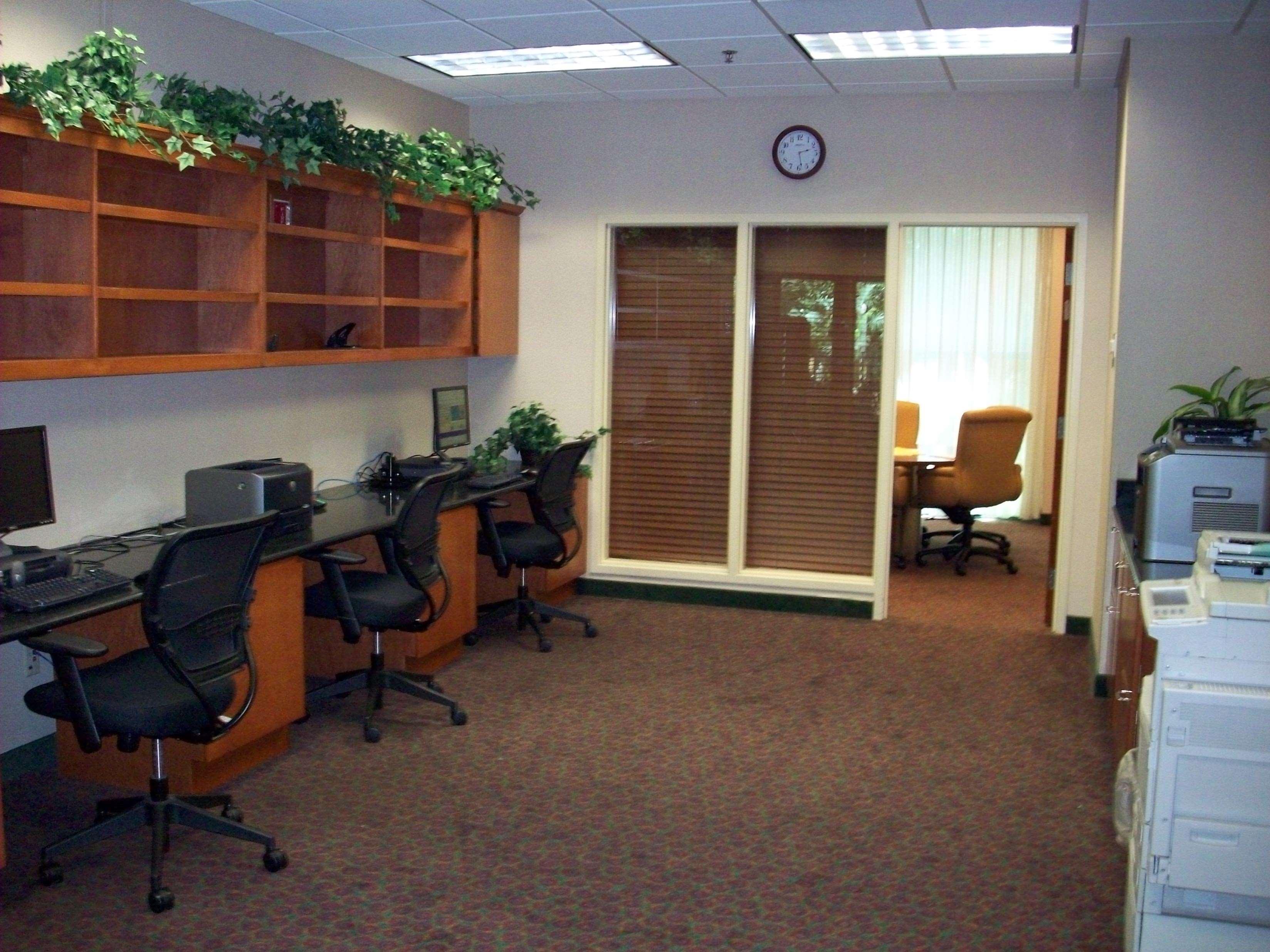 Embassy By Hilton Usf Near Busch Gardens 3*