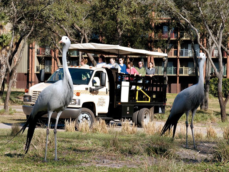Disney's Animal Kingdom Four Corners