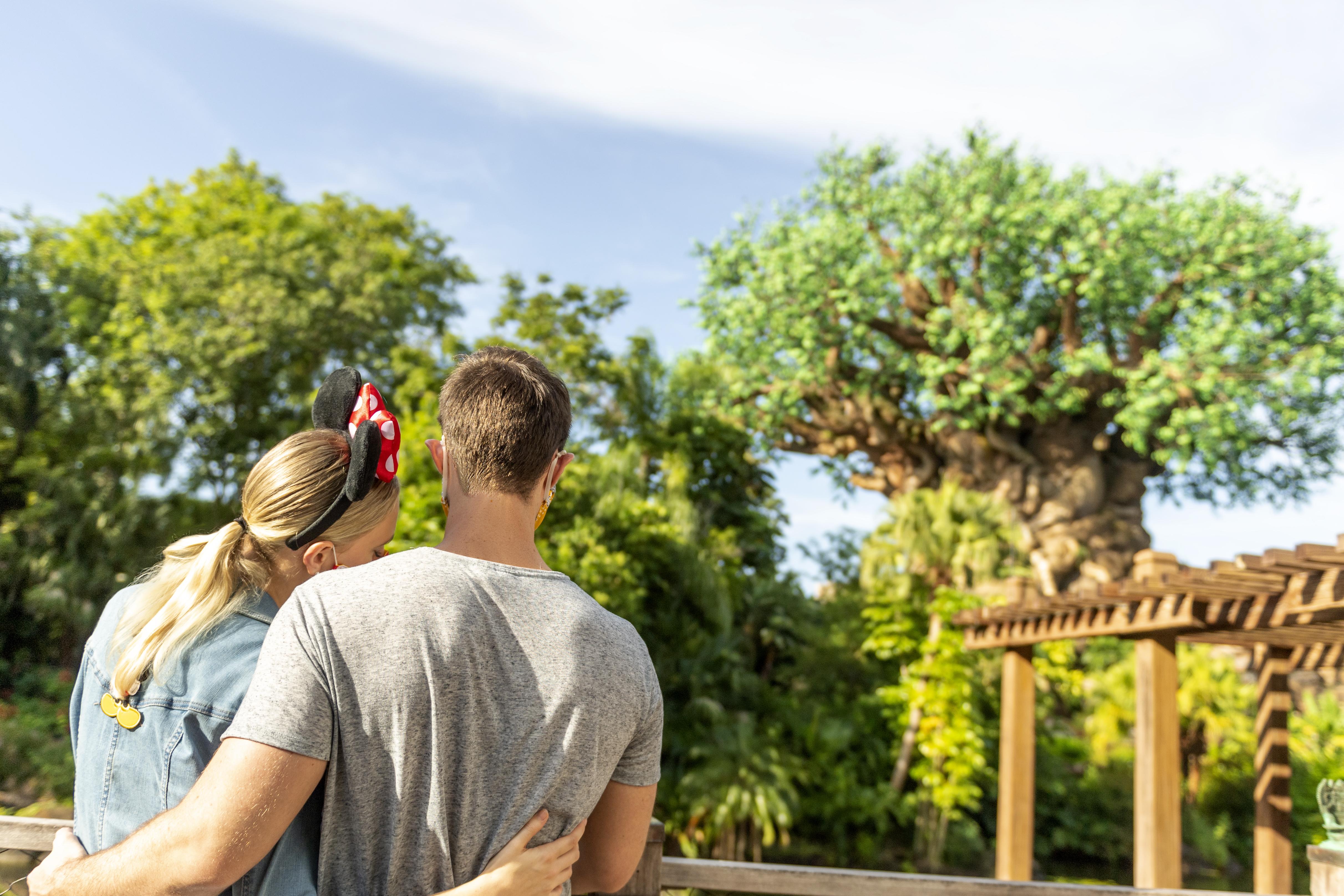 Disney's Animal Kingdom * Four Corners