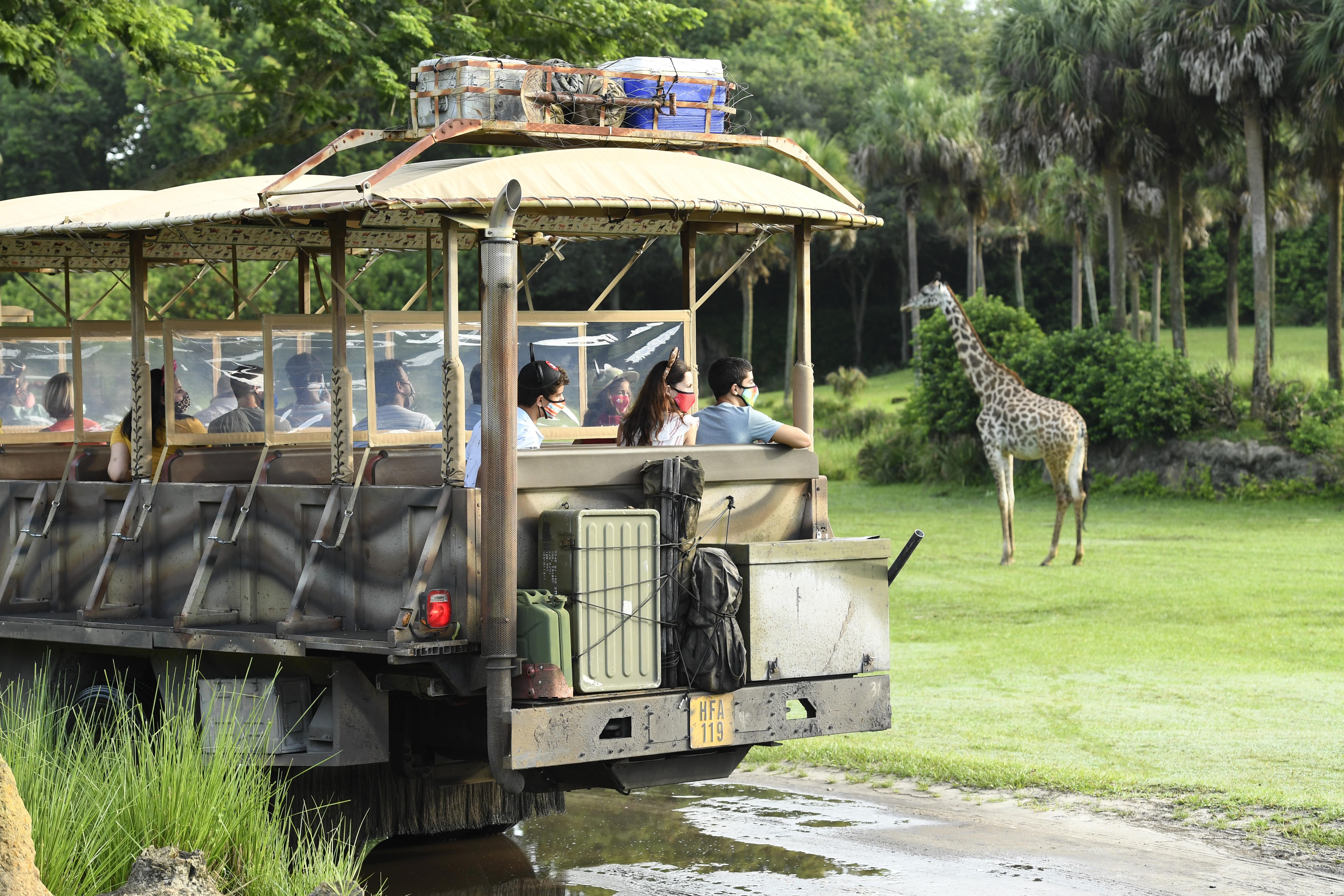 Disney's Animal Kingdom Lodge *