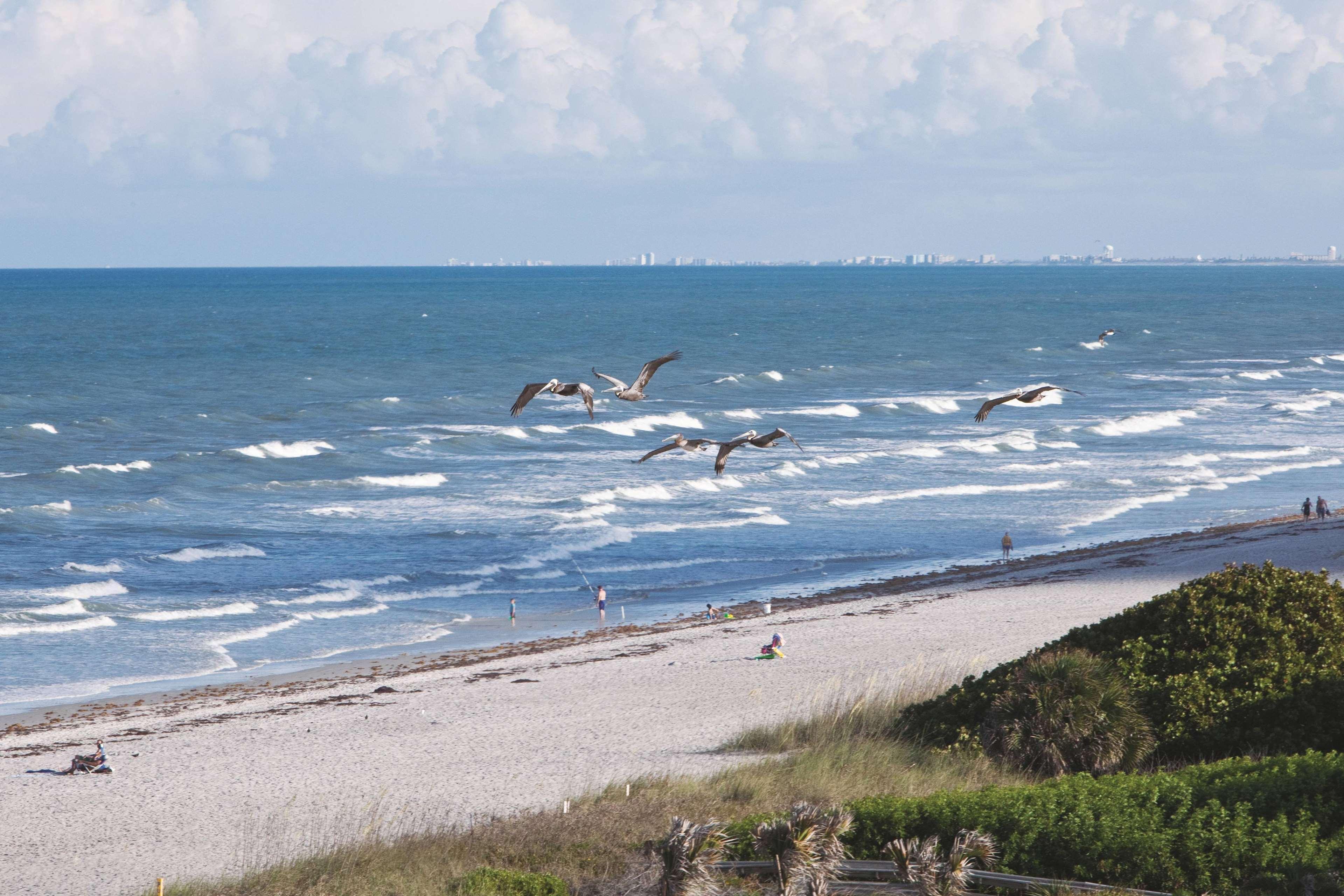 Hotel La Quinta By Wyndham Cocoa Oceanfront Cocoa Beach