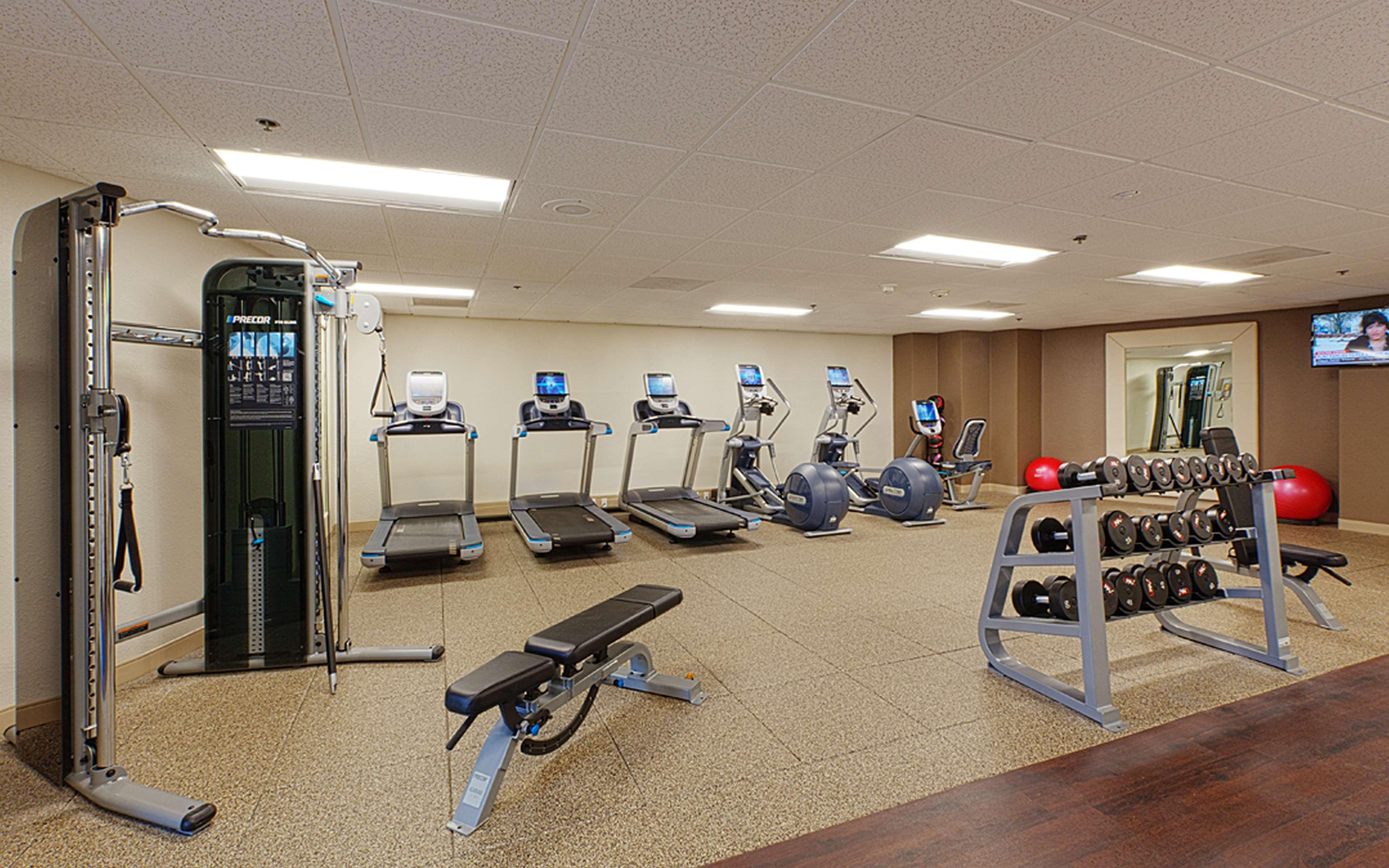 Hotel Embassy By Hilton Airport Westshore Tampa