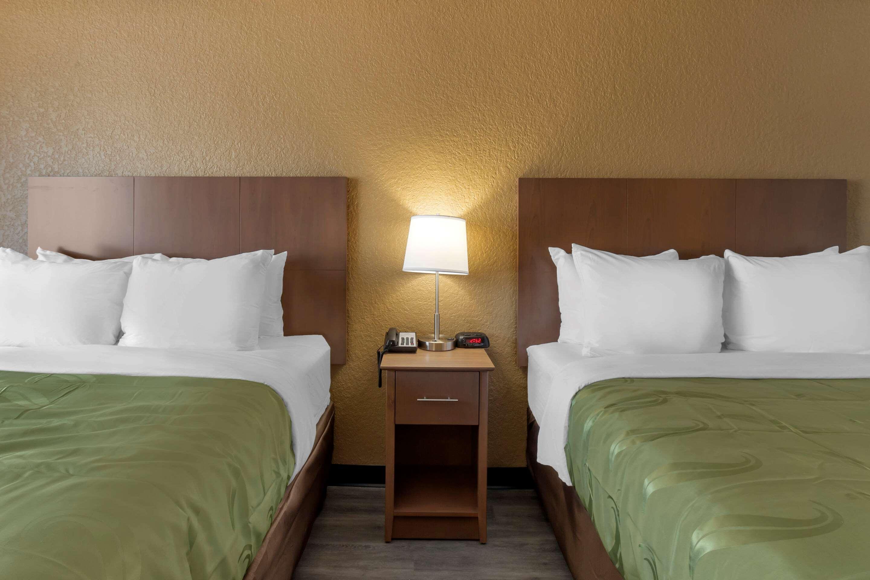 Quality North-tampa Bay Inn St. Petersburg