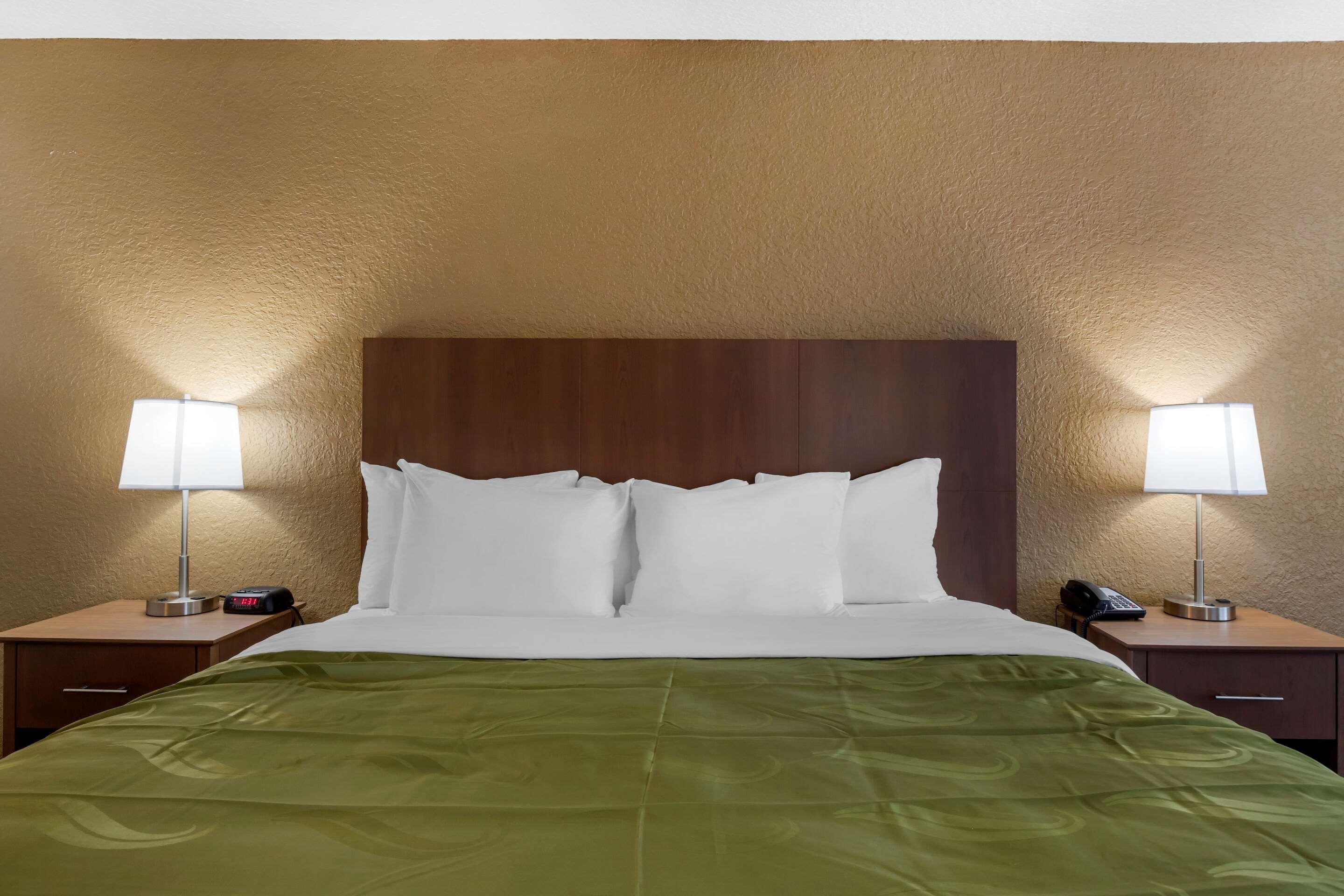 Inn Quality North-tampa Bay