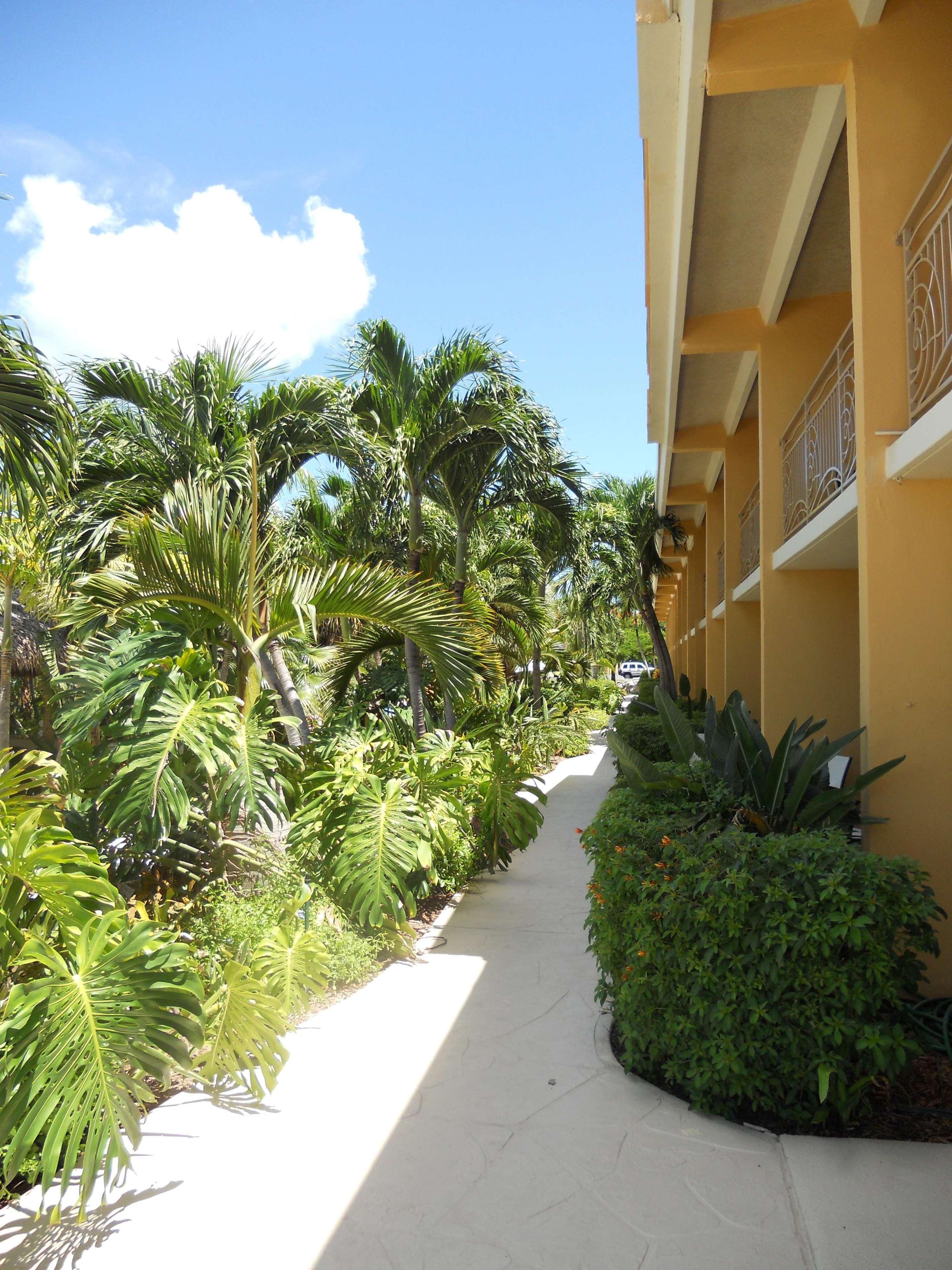 Hampton 3*