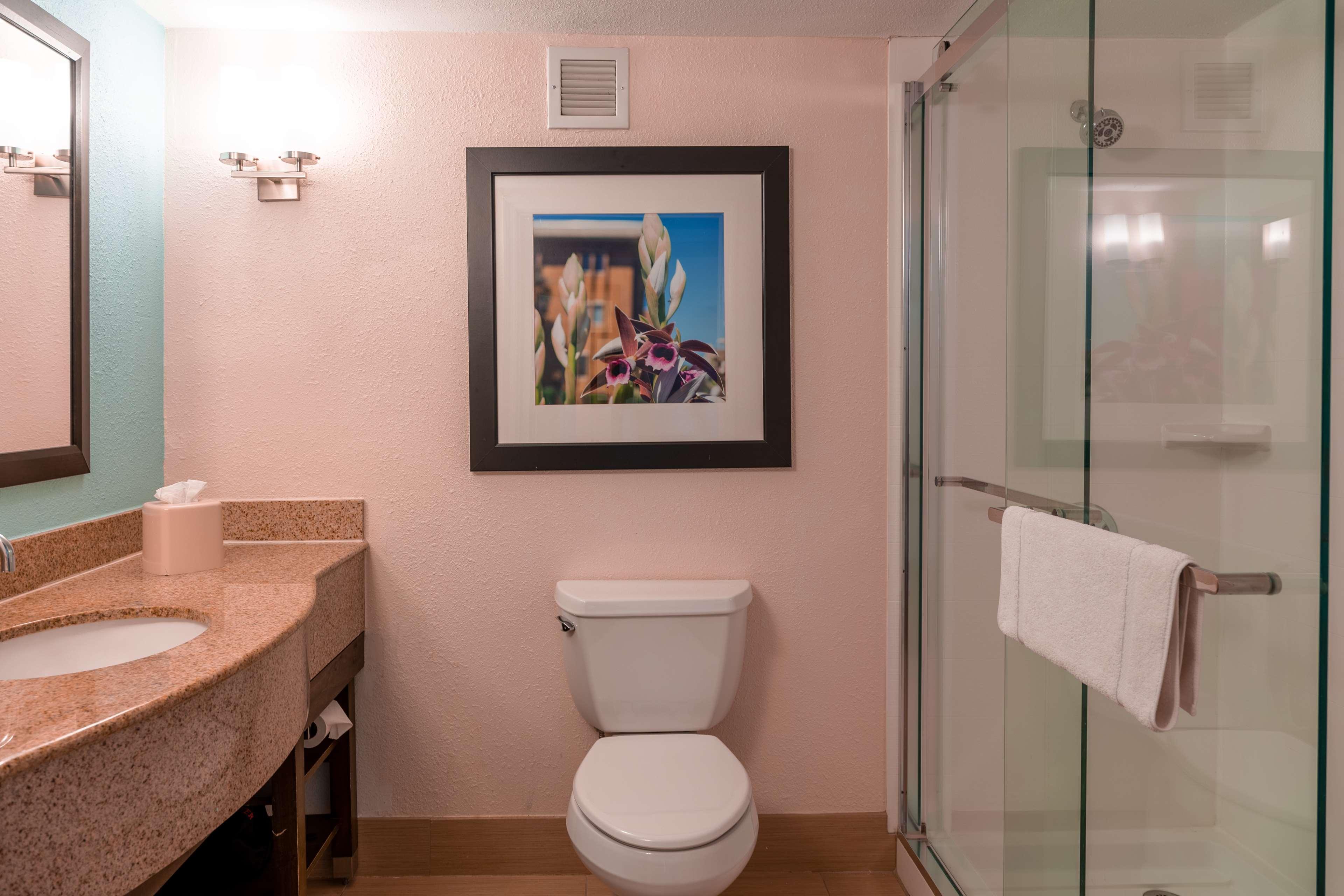 Hilton Garden Orlando East - Ucf Area Hotel Alafaya