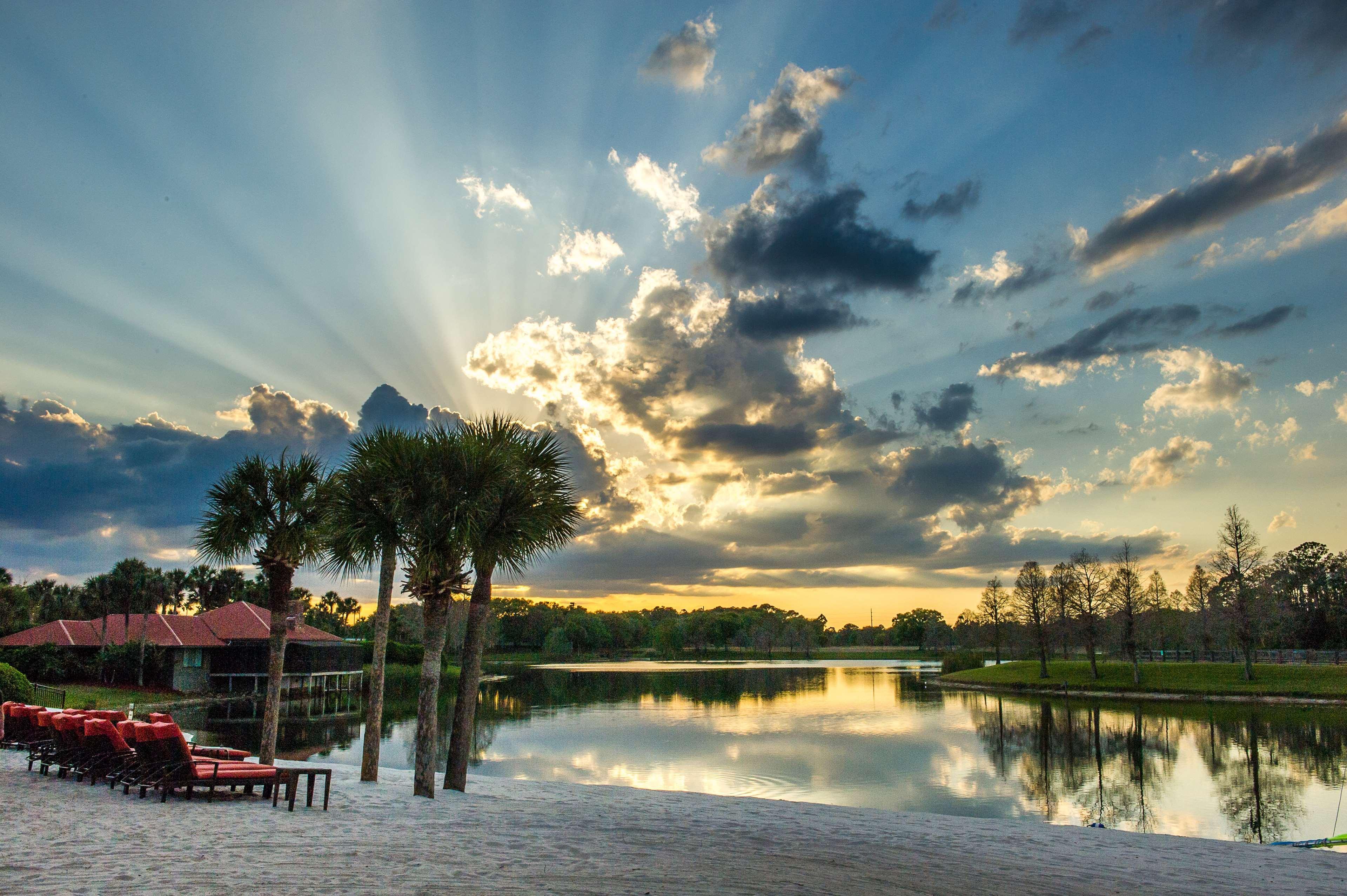 Hyatt Regency Grand Cypress 4*